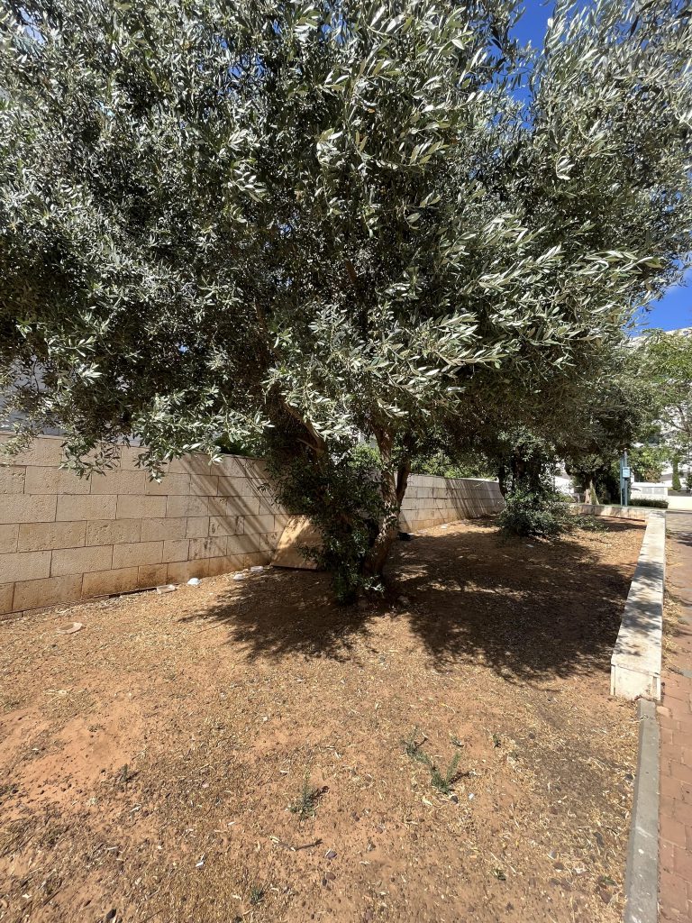 יחסי גומלין מסוג טורף נטרף by Jeremie Amsellem - Illustrated by ג'רמי אמסלם ועומר לזר - Ourboox.com