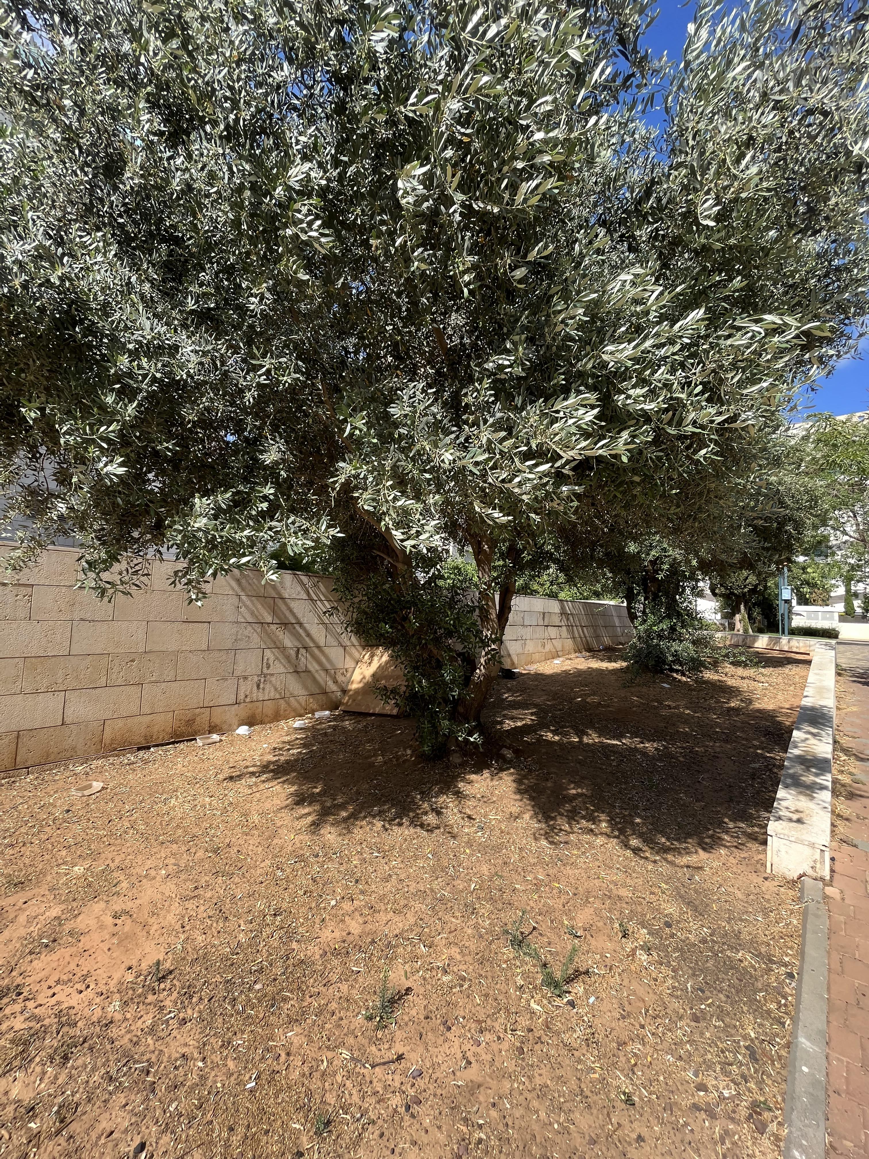 יחסי גומלין מסוג טורף נטרף by Jeremie Amsellem - Illustrated by ג