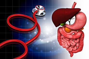 מערכת העיכול by mona - Ourboox.com