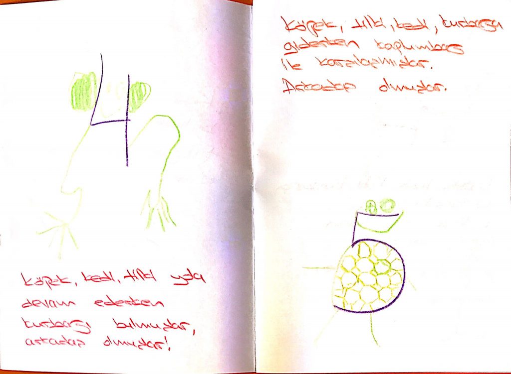 anasınıfı by seda keskin - Ourboox.com