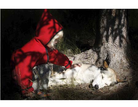 The New Hood by Hadar keselbrener - Illustrated by Noa and Hadar - Ourboox.com