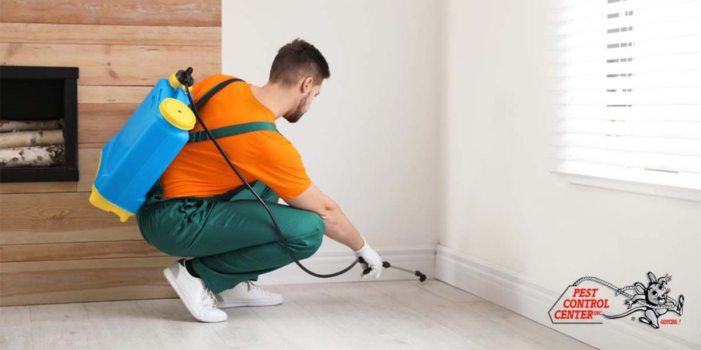 Are You Searching for Pest Control Services in Sacramento, CA? by Jam kahana - Illustrated by Jam kahana - Ourboox.com