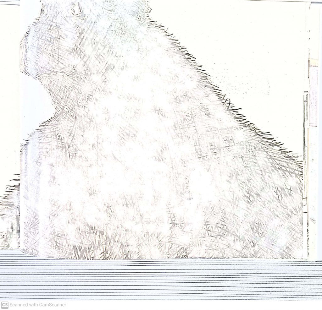 الجسر by lina geires - Ourboox.com