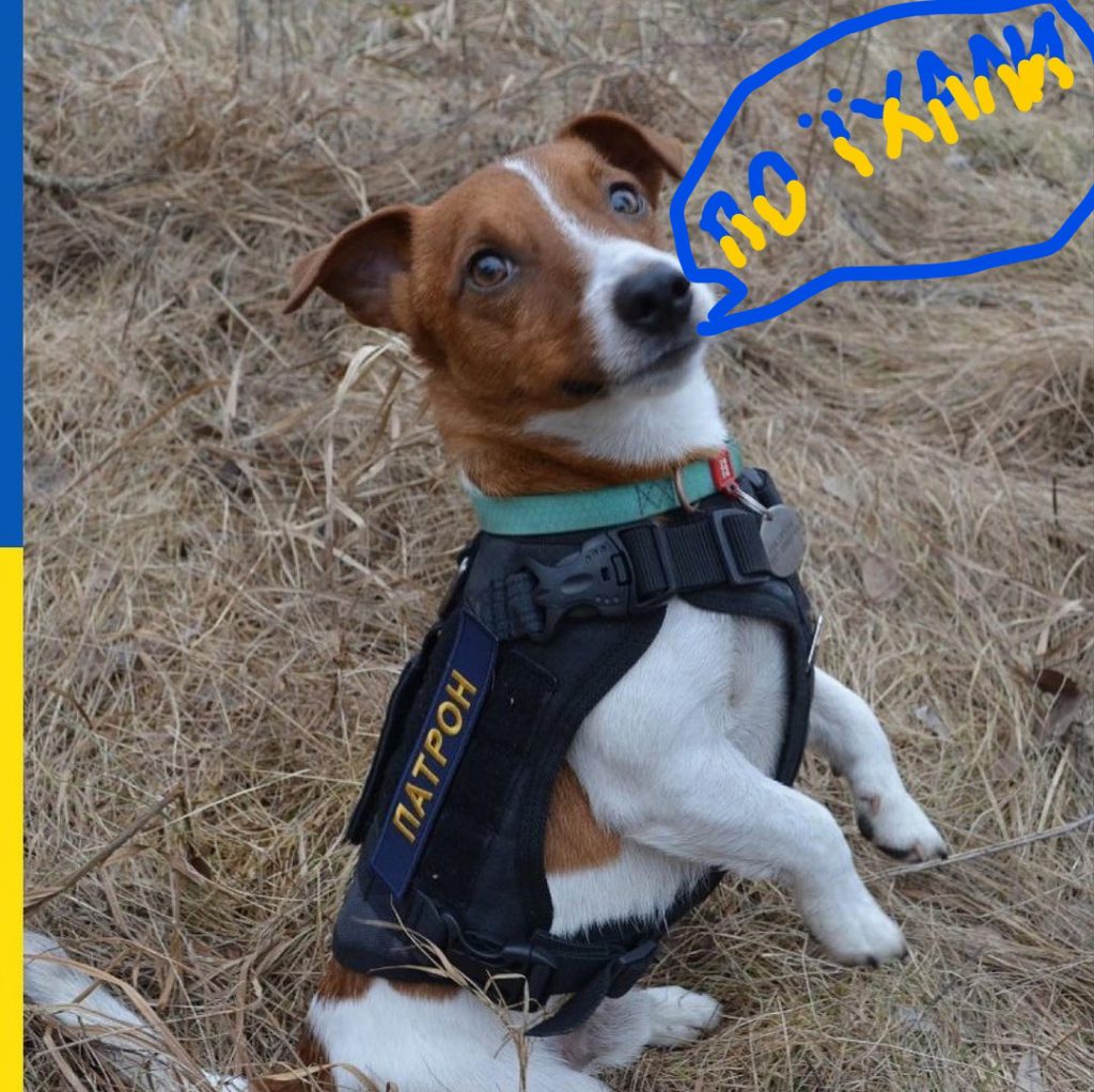 Моя читацька порада by Matvii  - Ourboox.com