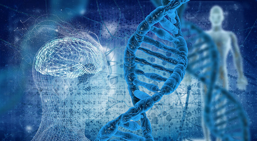 Клонування організмів by Yulia - Ourboox.com