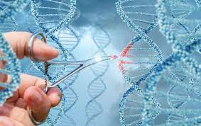 Клонування організмів by Yulia - Ourboox.com