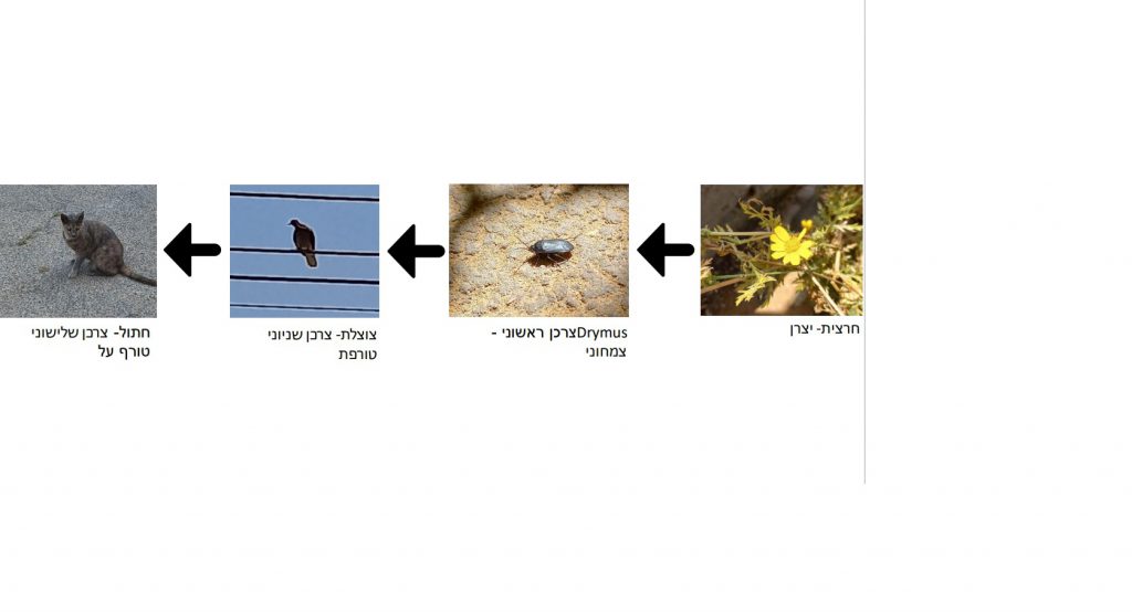 יחסי גומלין מסוג טורף נטרף by Liam - Illustrated by יהונתן וליאם - Ourboox.com