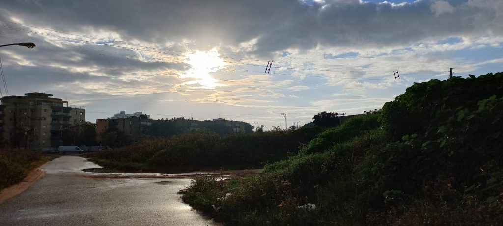 יחסי גומלין מסוג טורף נטרף by Liam - Illustrated by יהונתן וליאם - Ourboox.com