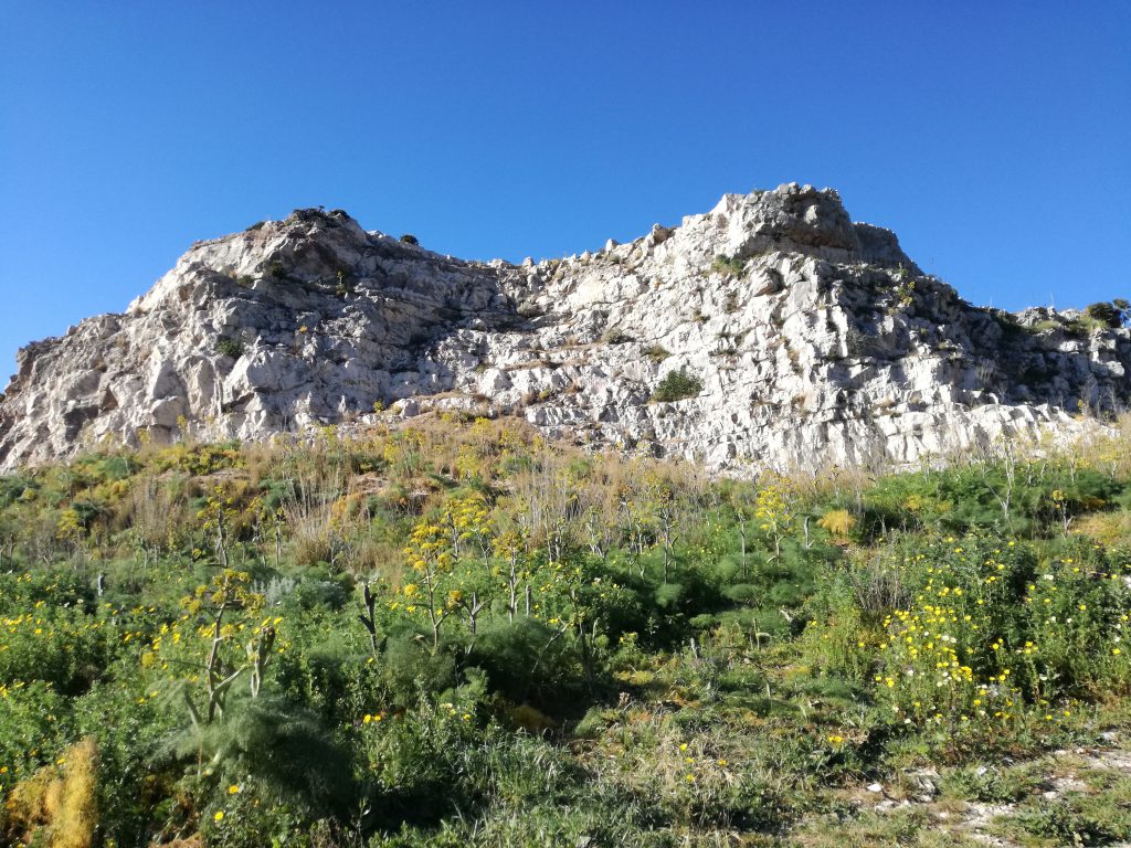 Art. 9 Cost. by cristina catanzaro - Ourboox.com