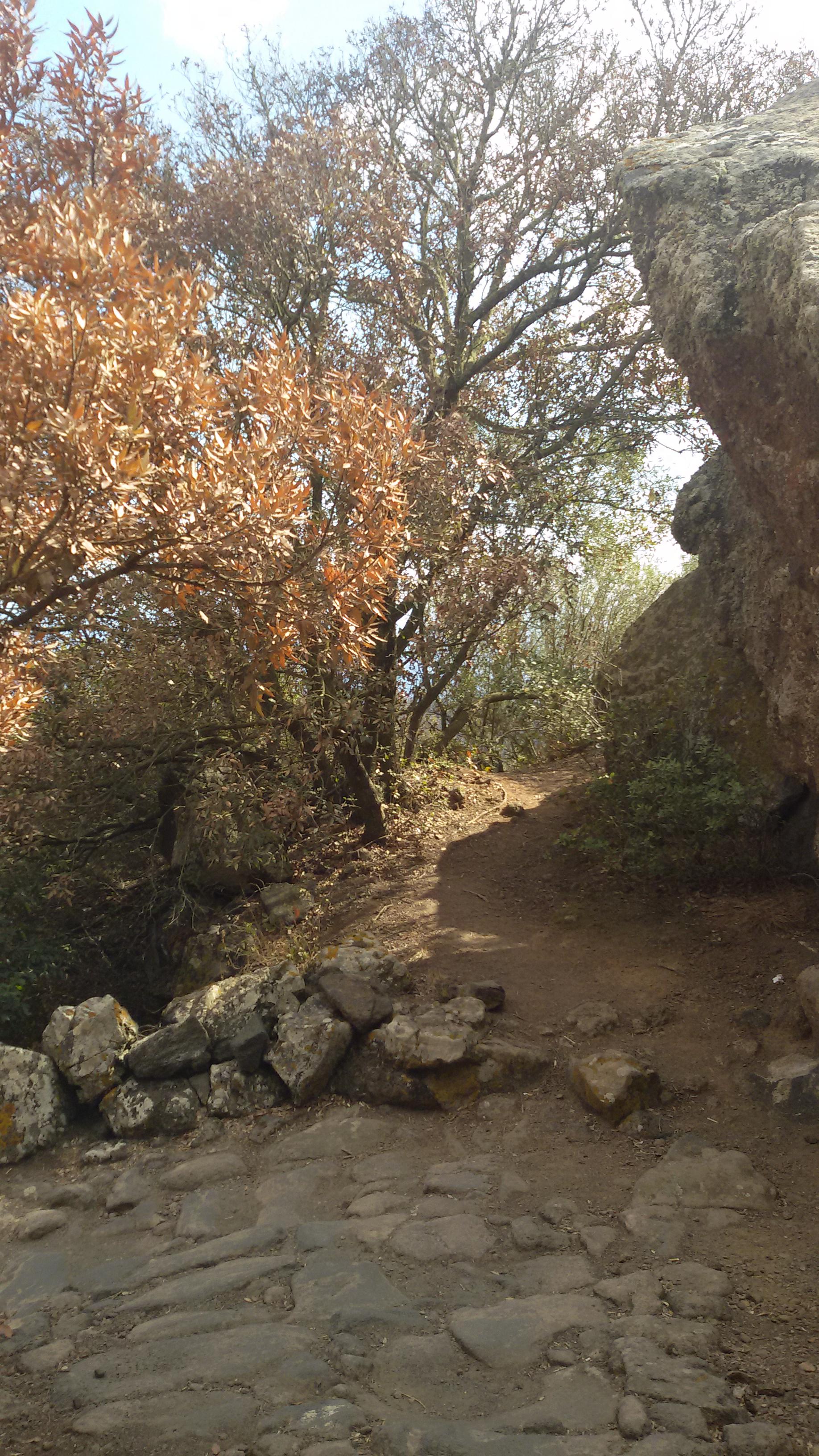 Art. 9 Cost. by cristina catanzaro - Ourboox.com