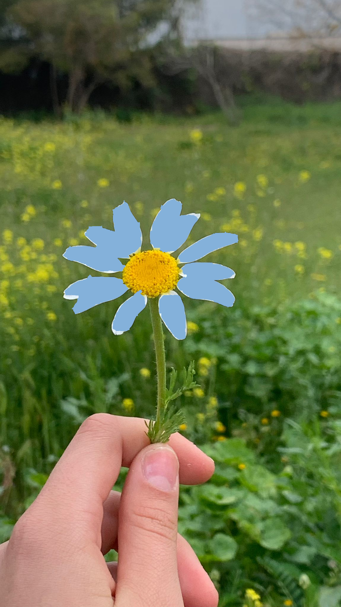 Álbum de edición de fotos by joven jubilada - Ourboox.com