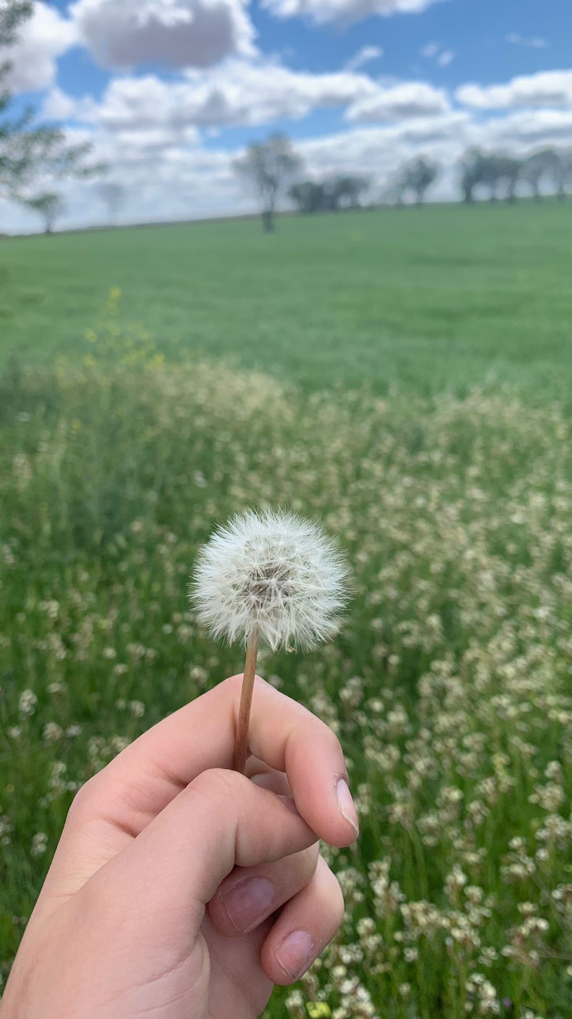 Álbum de edición de fotos by joven jubilada - Ourboox.com