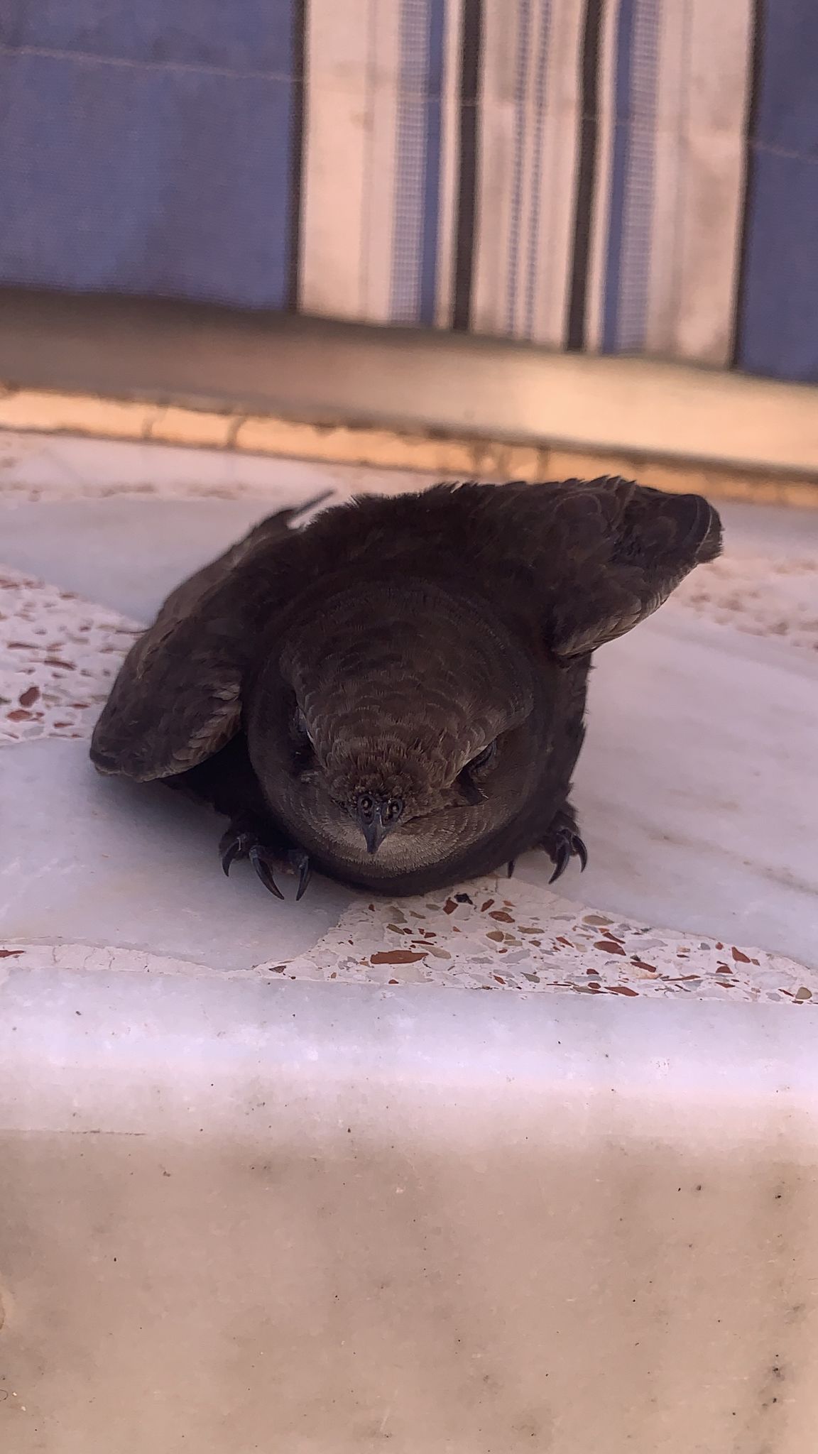 Álbum de edición de fotos by joven jubilada - Ourboox.com