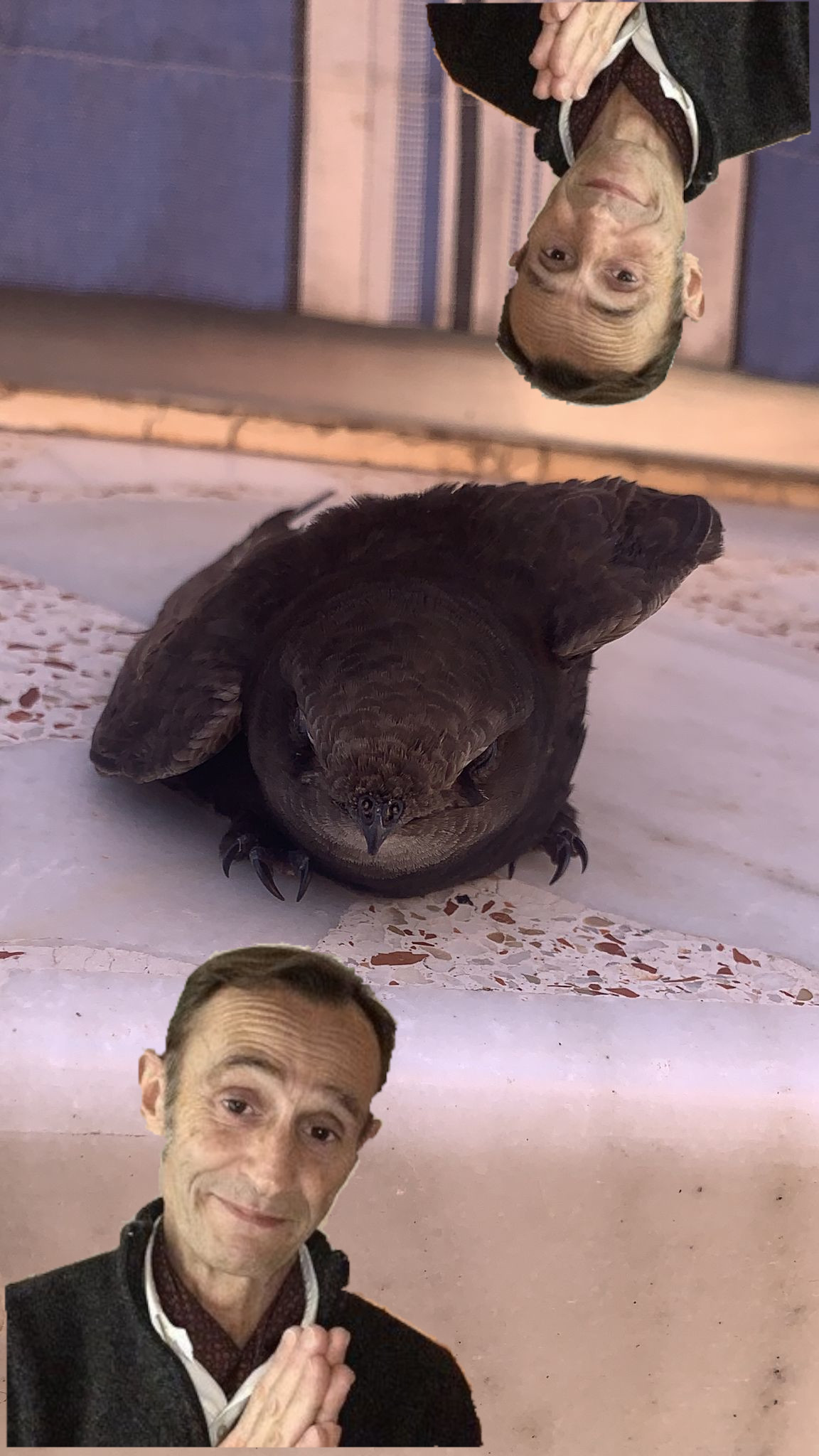 Álbum de edición de fotos by joven jubilada - Ourboox.com