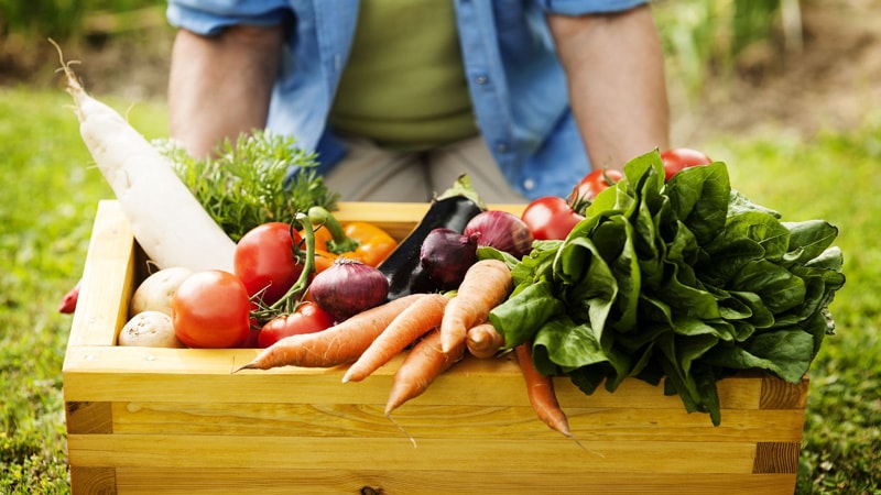 Perché è importante tutelare l’ambiente e averne cura by Ic Casali del Manco - Illustrated by Giovanni Forlano e Davide Maccarrone - Ourboox.com