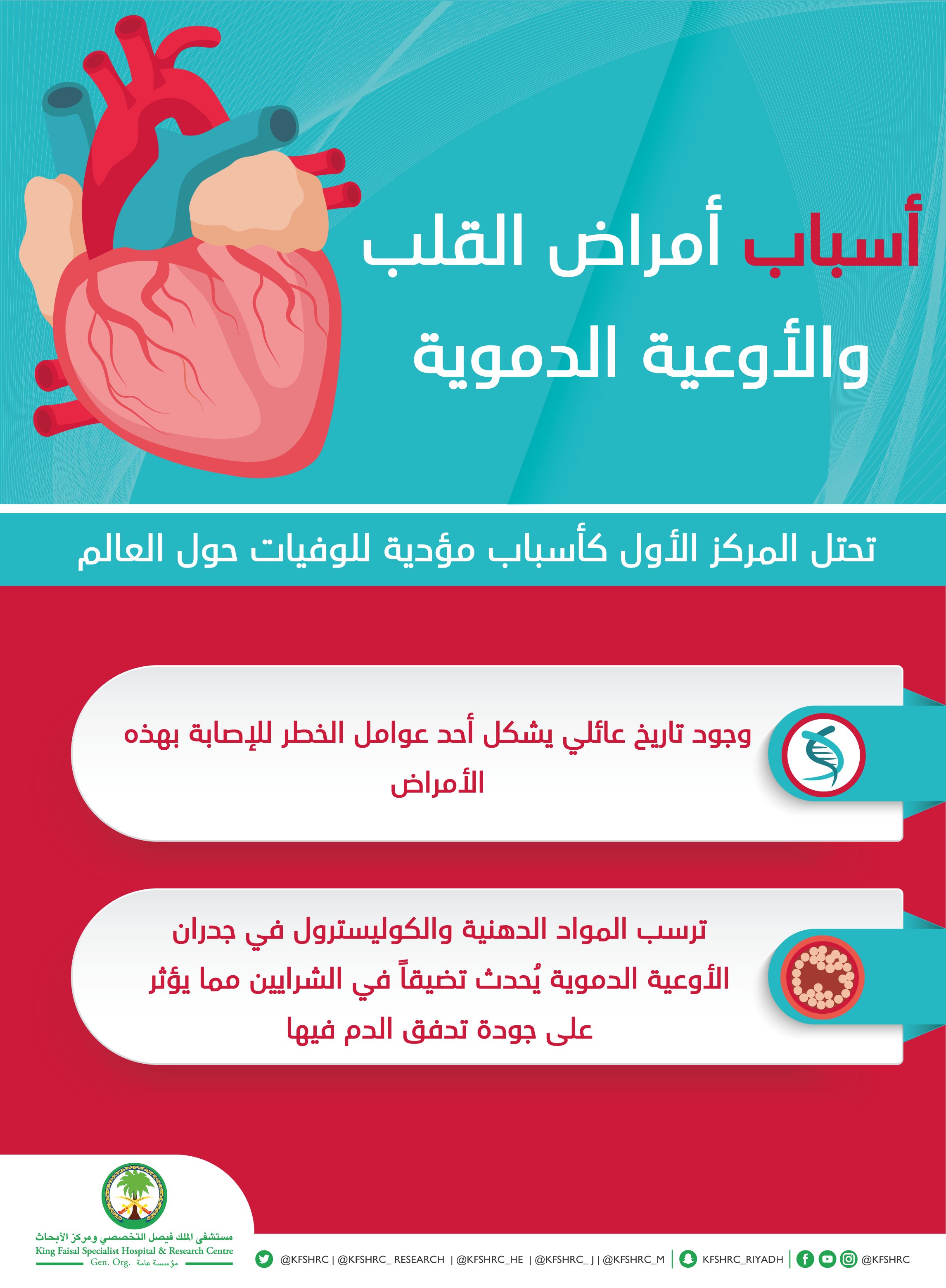 امراض القلب و الاوعية الدموية by Omar Alian - Ourboox.com