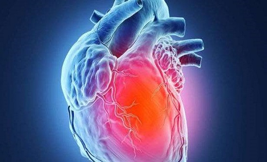 امراض القلب و الاوعية الدموية by Omar Alian - Ourboox.com