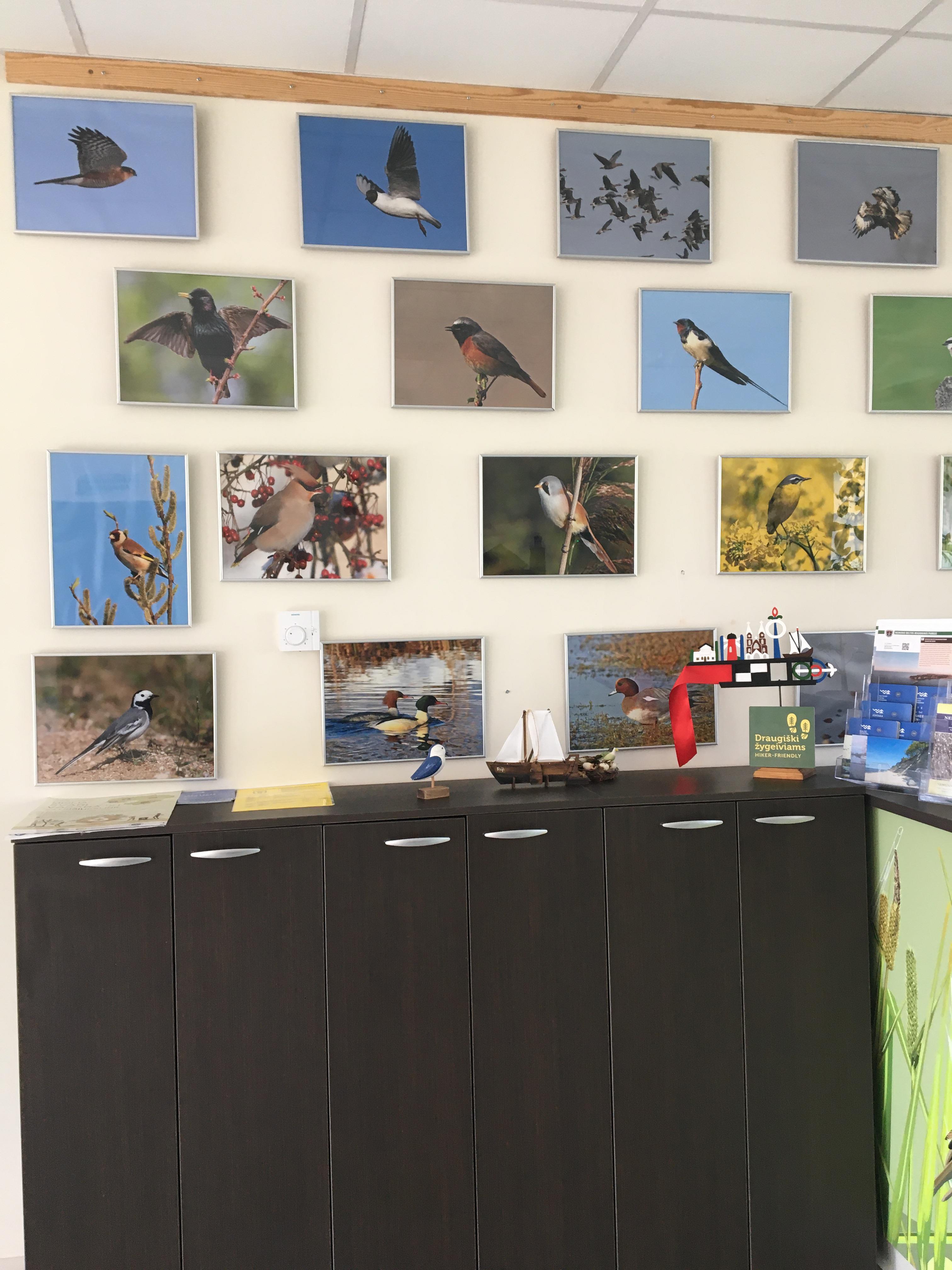 Jungtinis projektas „Pamoka kitaip“ by Pamoka kitaip - Illustrated by Mes iš Pamario krašto. Darnaus vystymosi tikslų siekimas. - Ourboox.com