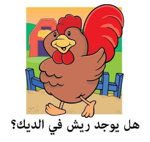 صغاري … هيا نجيب عن اسئلة المنطق !!! by rofaida - Ourboox.com