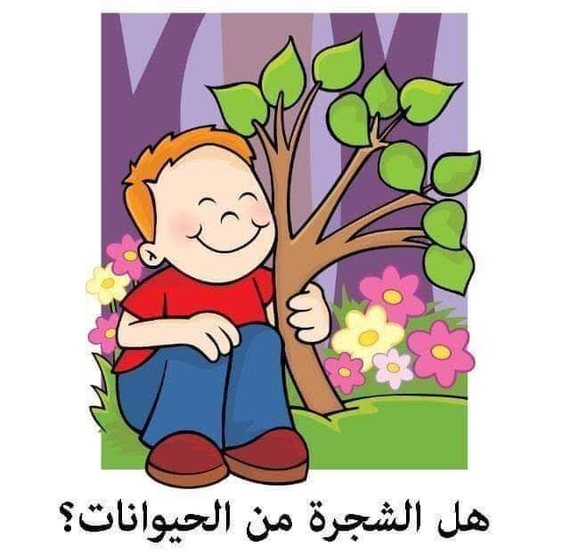 صغاري … هيا نجيب عن اسئلة المنطق !!! by rofaida - Ourboox.com