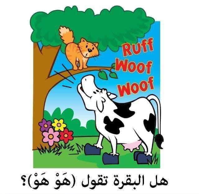 صغاري … هيا نجيب عن اسئلة المنطق !!! by rofaida - Ourboox.com