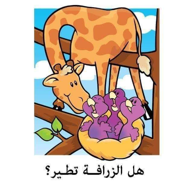 صغاري … هيا نجيب عن اسئلة المنطق !!! by rofaida - Ourboox.com