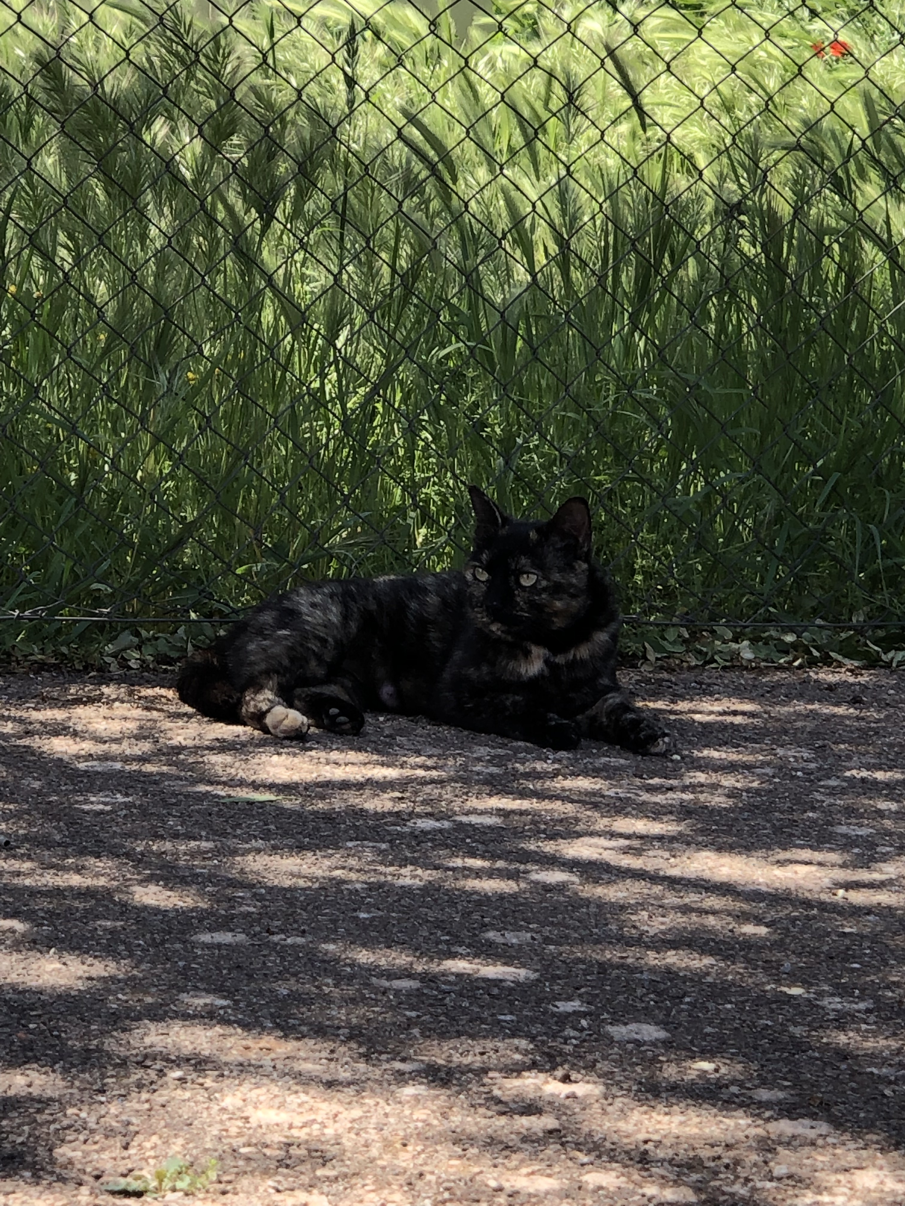 Fotografía de Natalia by Natalia - Ourboox.com