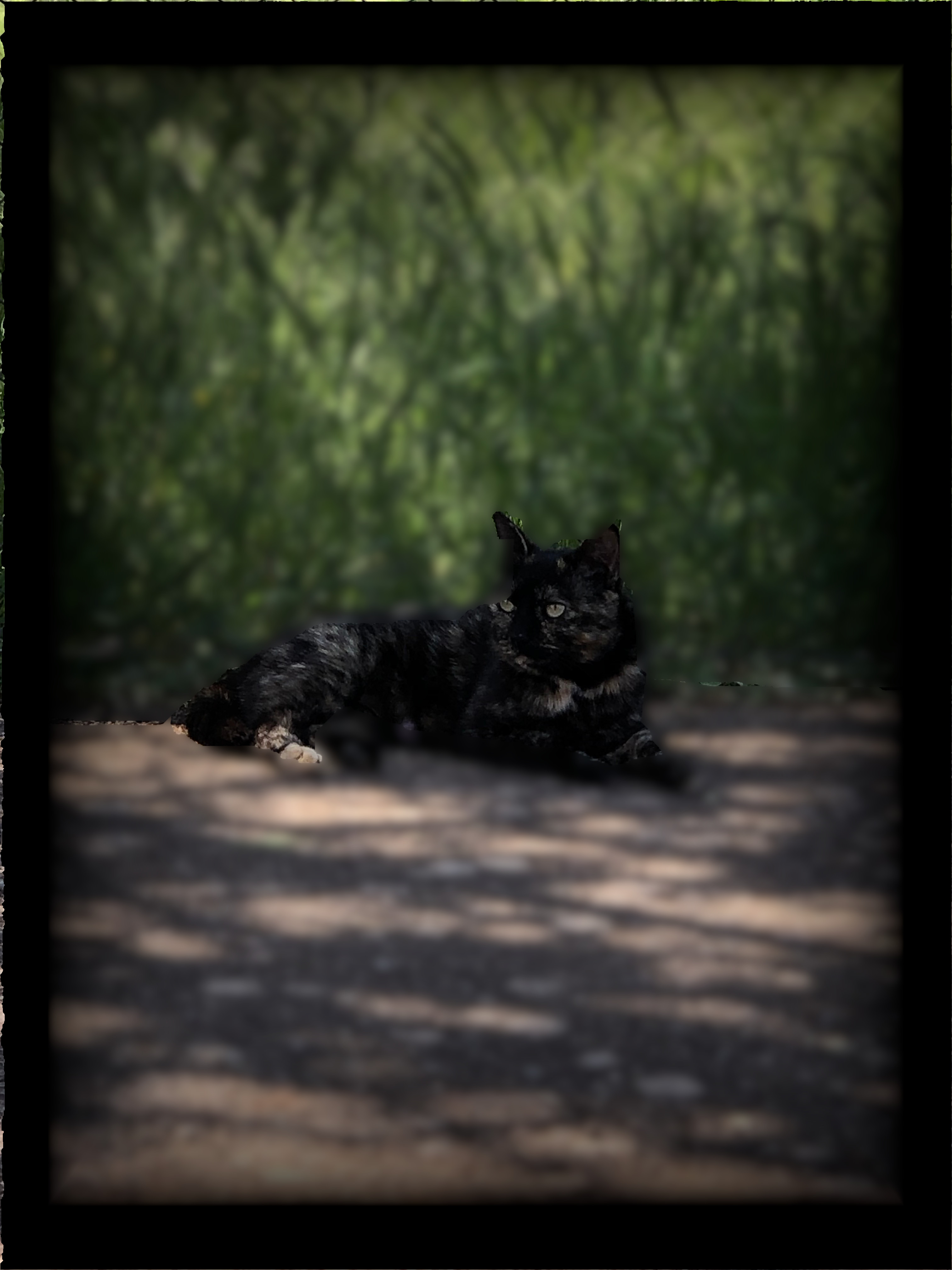 Fotografía de Natalia by Natalia - Ourboox.com