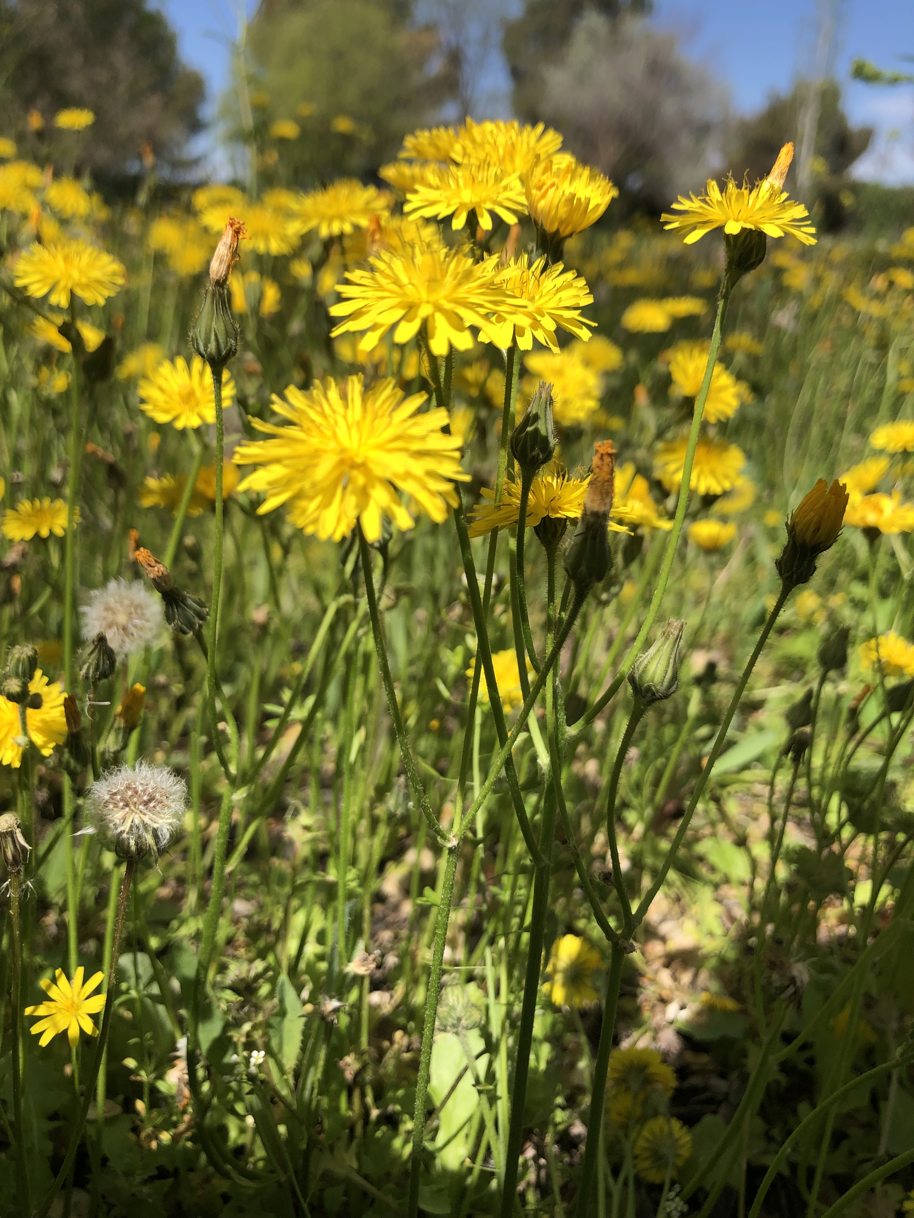 Fotografía de Natalia by Natalia - Ourboox.com
