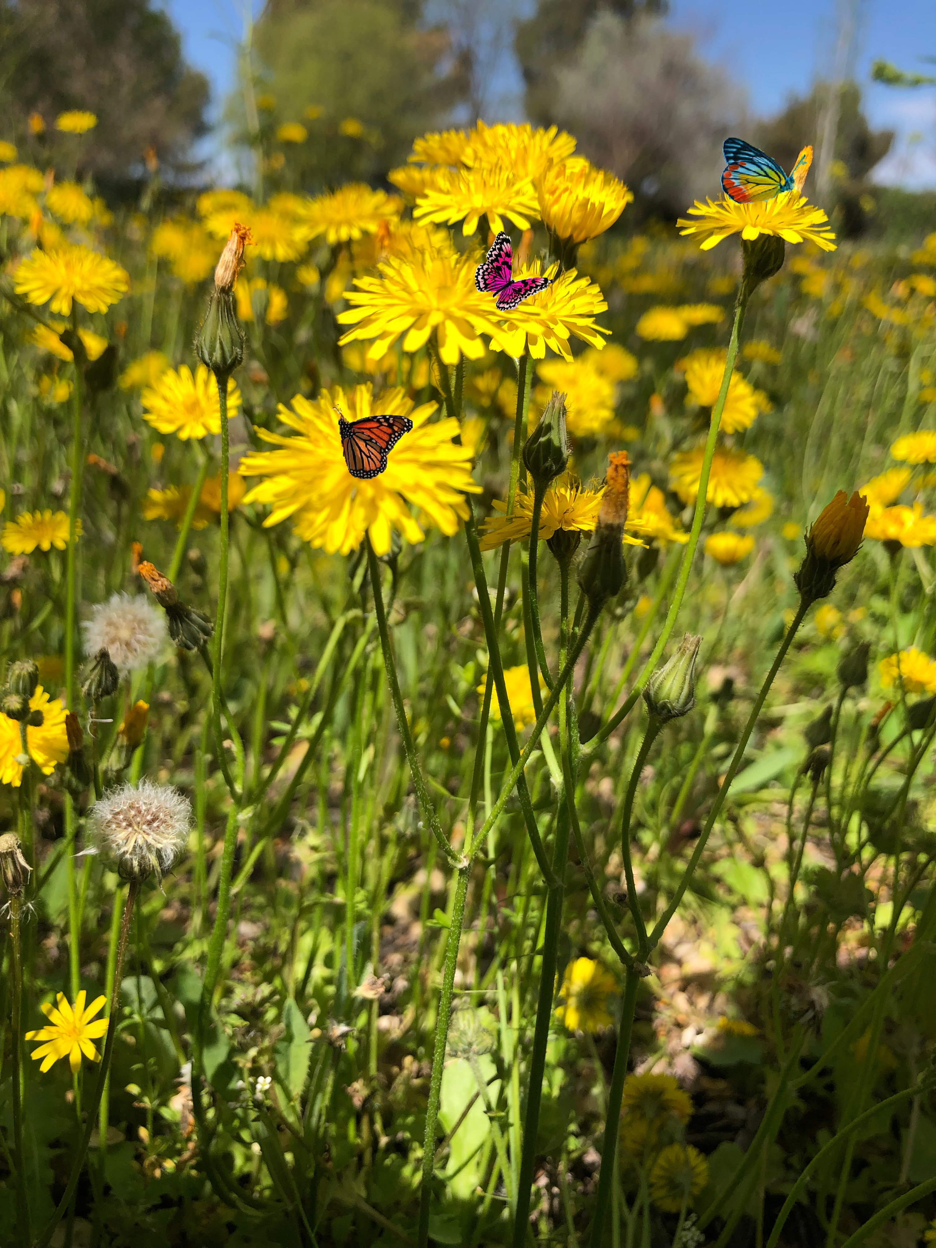 Fotografía de Natalia by Natalia - Ourboox.com