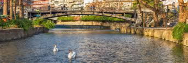 Impressions Trikala by Nicola - Ourboox.com