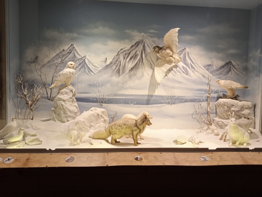 Impressions Trikala by Nicola - Ourboox.com