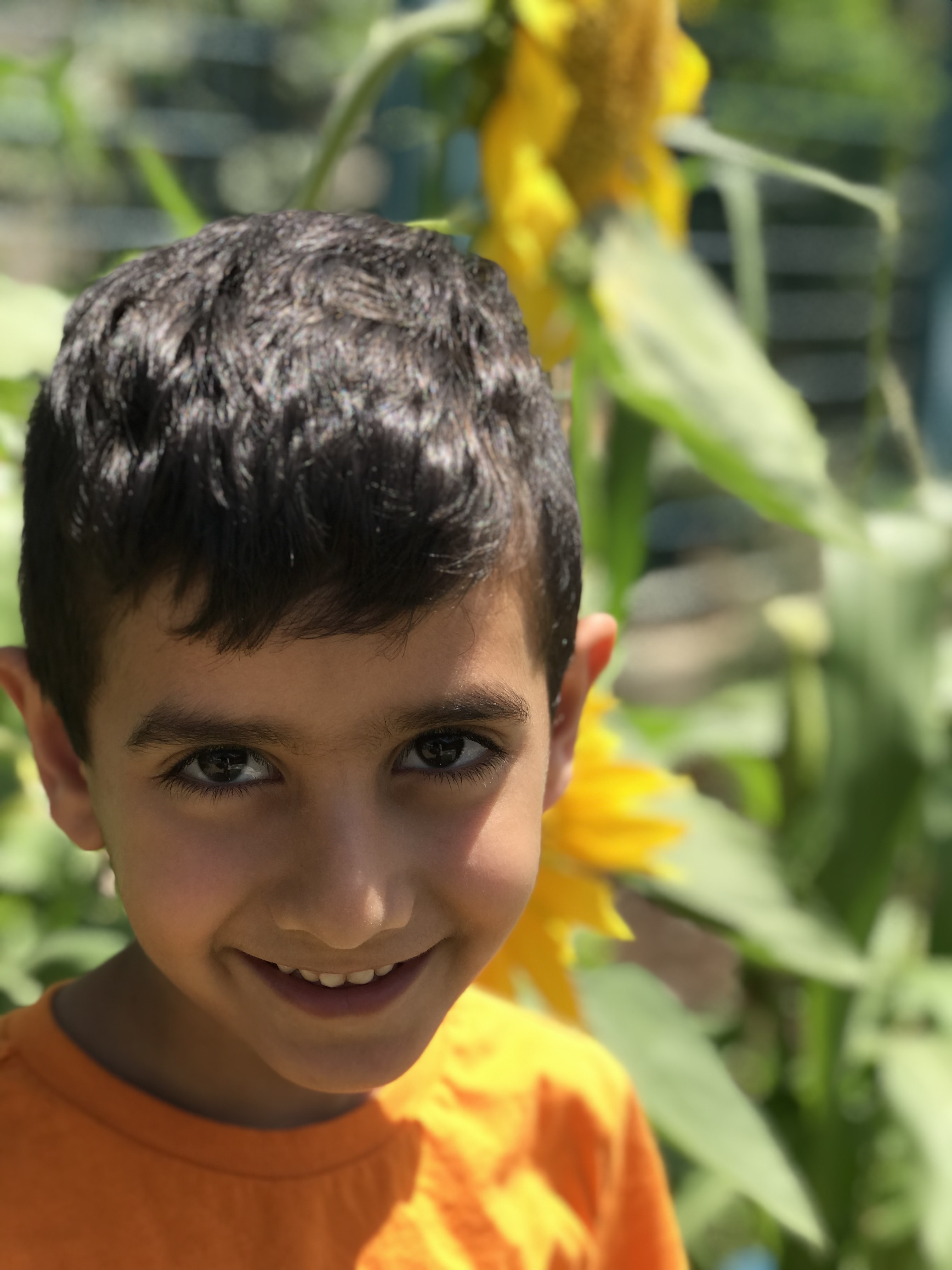 أطفال بستان الزيتون 2022 by nadia - Ourboox.com