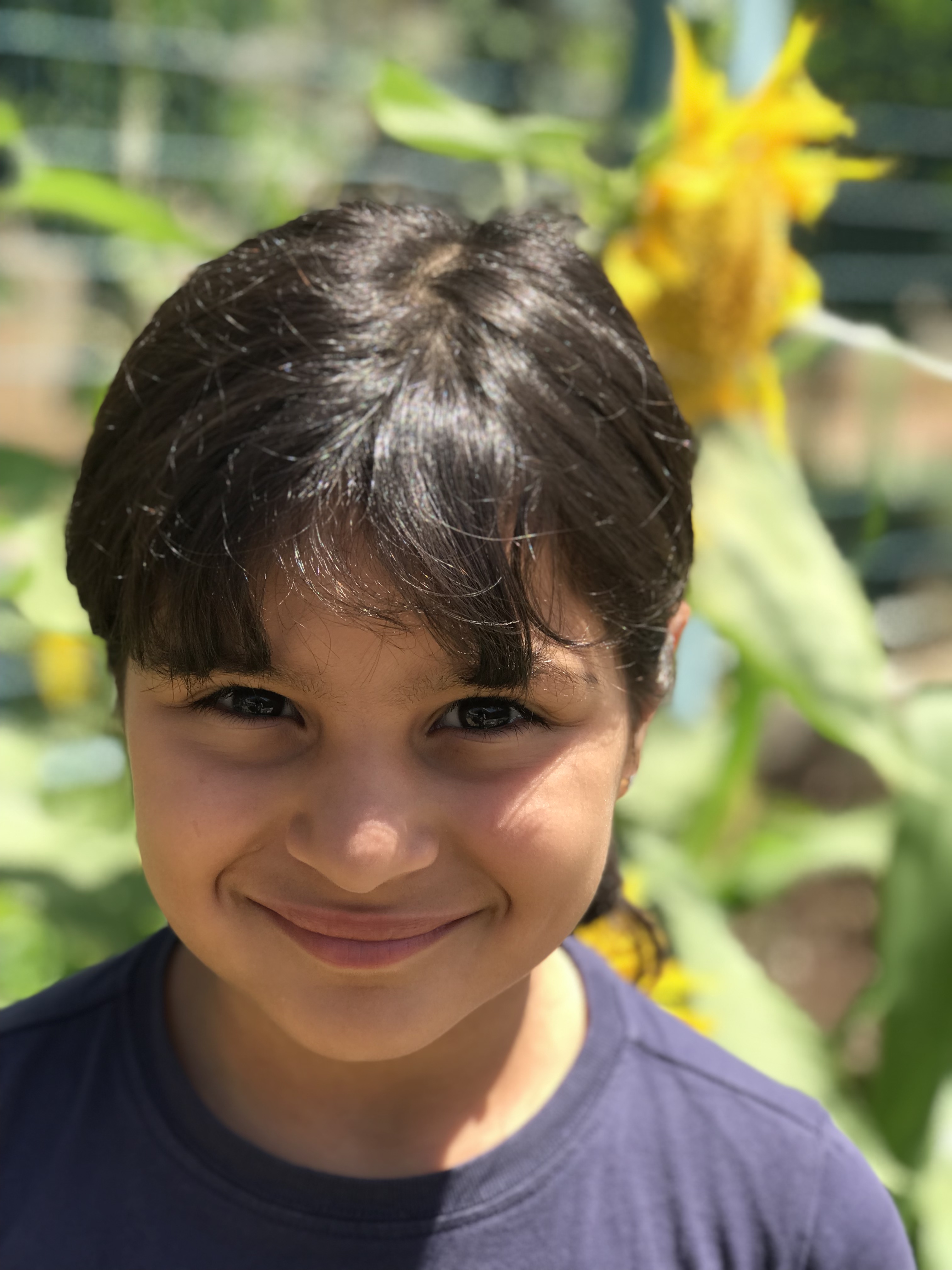 أطفال بستان الزيتون 2022 by nadia - Ourboox.com