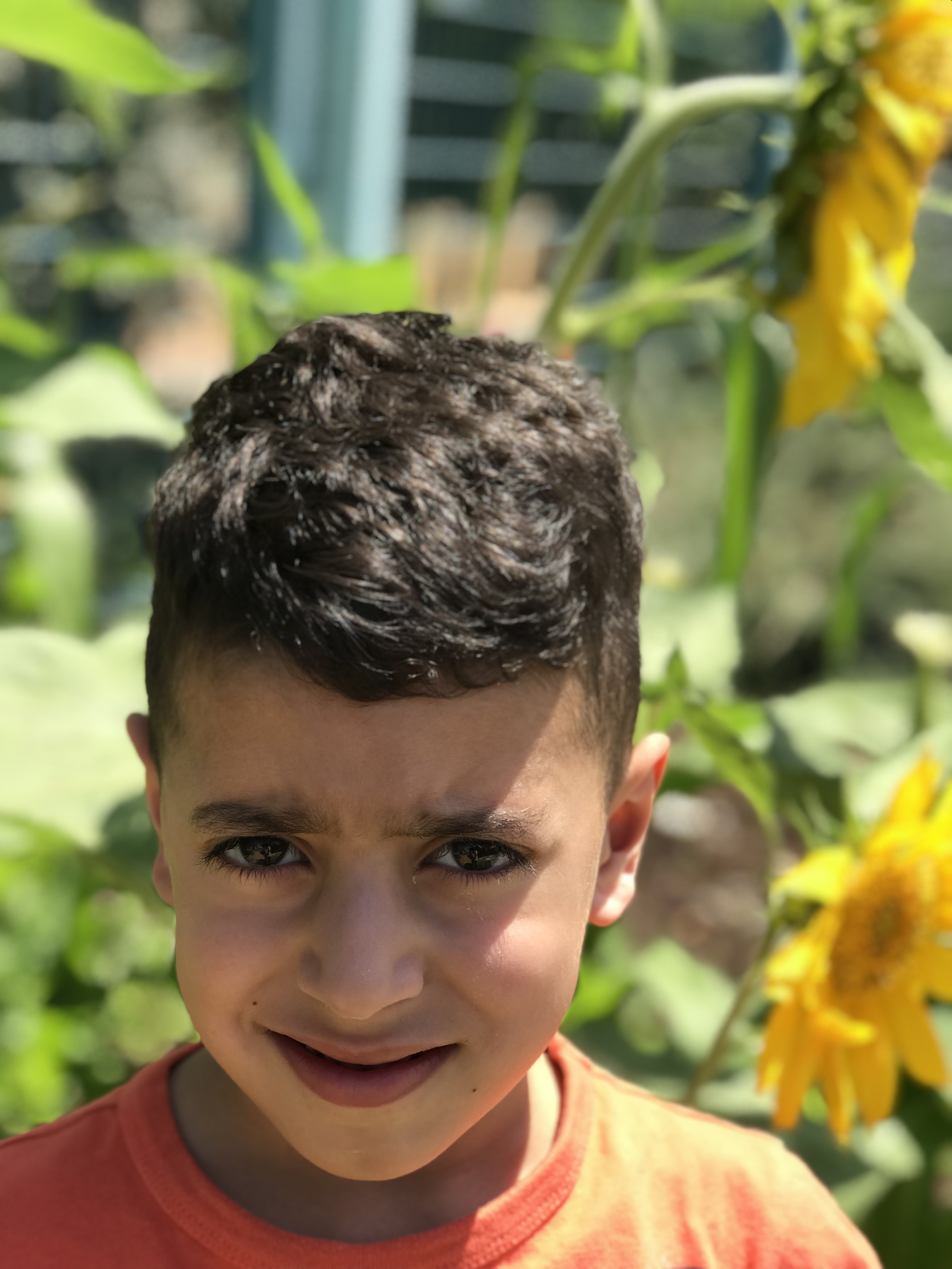 أطفال بستان الزيتون 2022 by nadia - Ourboox.com