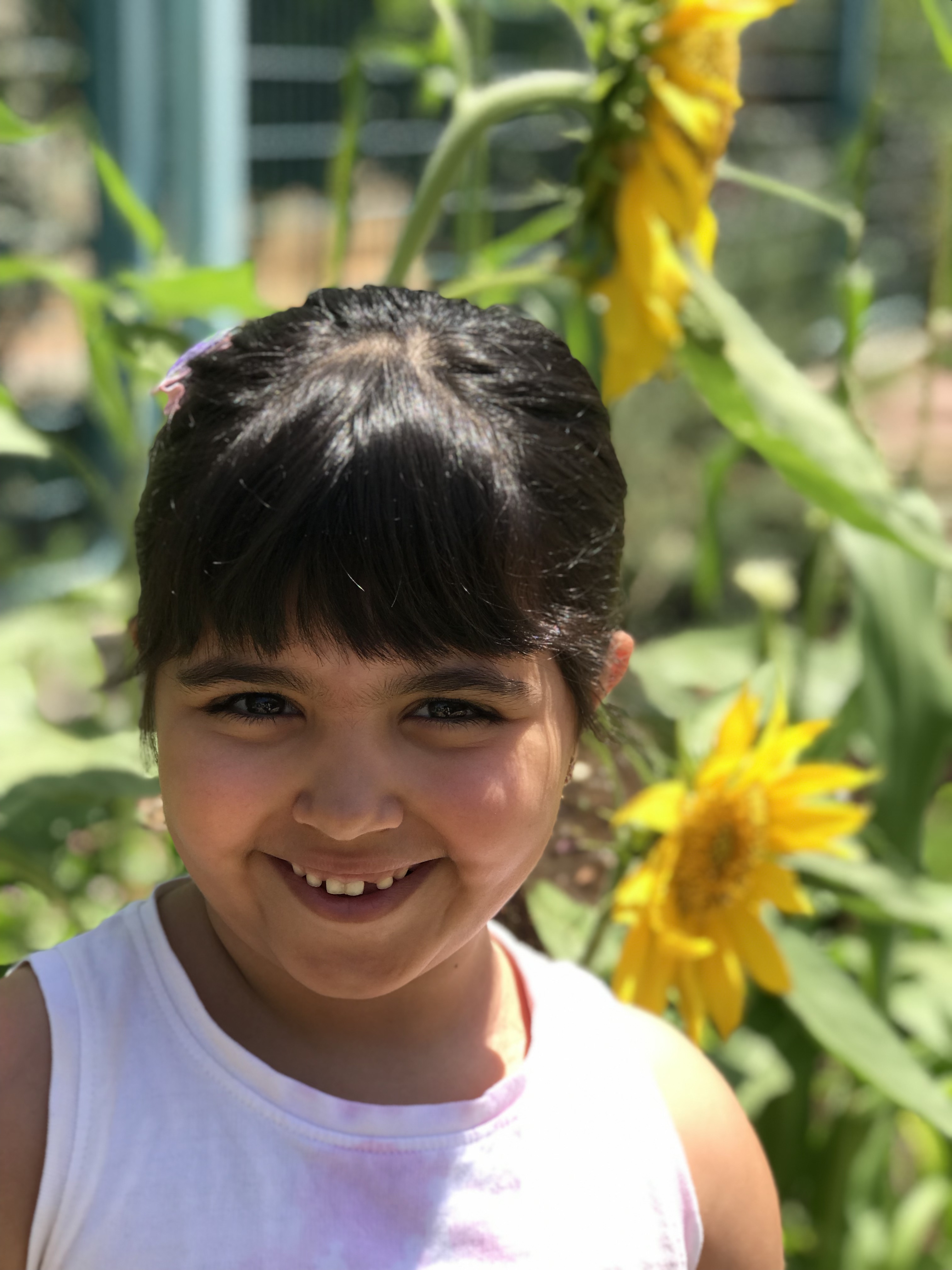 أطفال بستان الزيتون 2022 by nadia - Ourboox.com