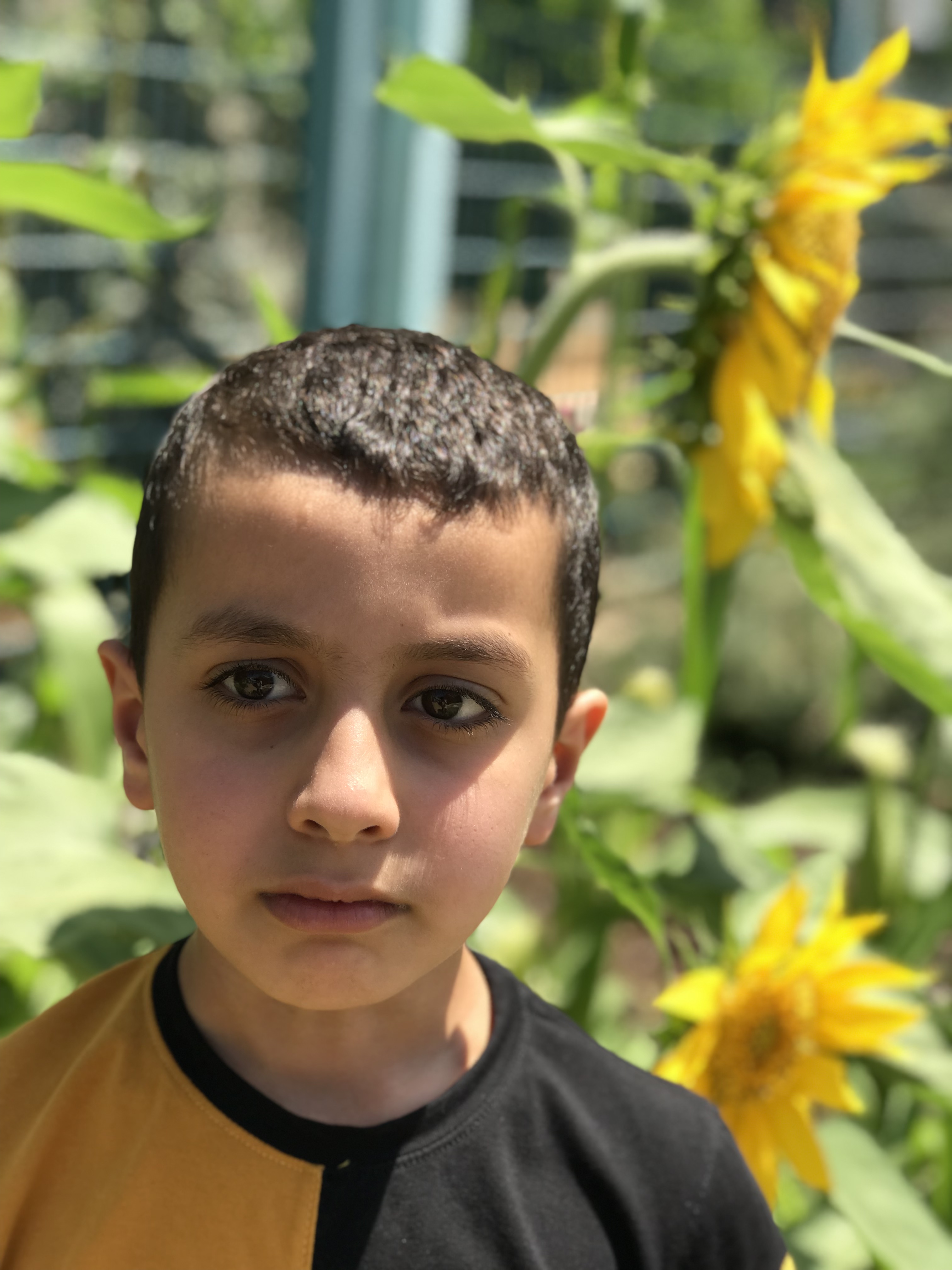 أطفال بستان الزيتون 2022 by nadia - Ourboox.com