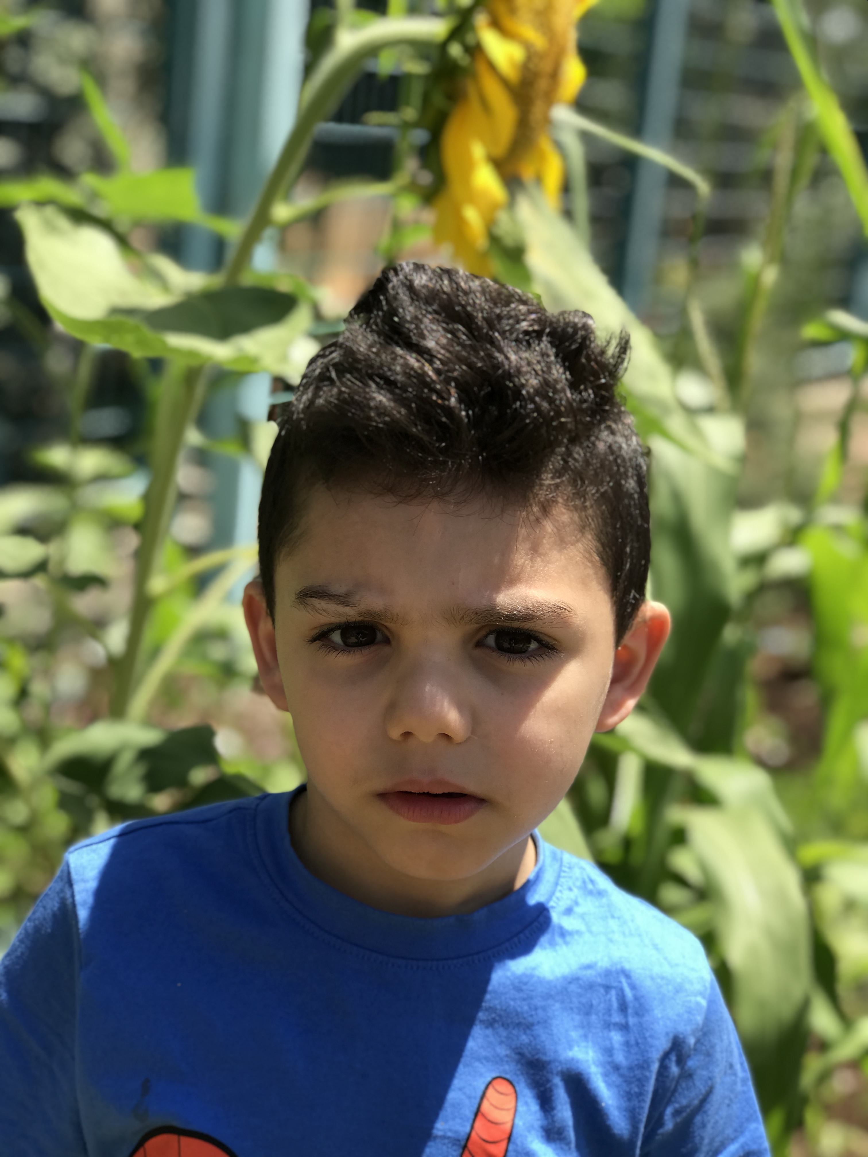 أطفال بستان الزيتون 2022 by nadia - Ourboox.com