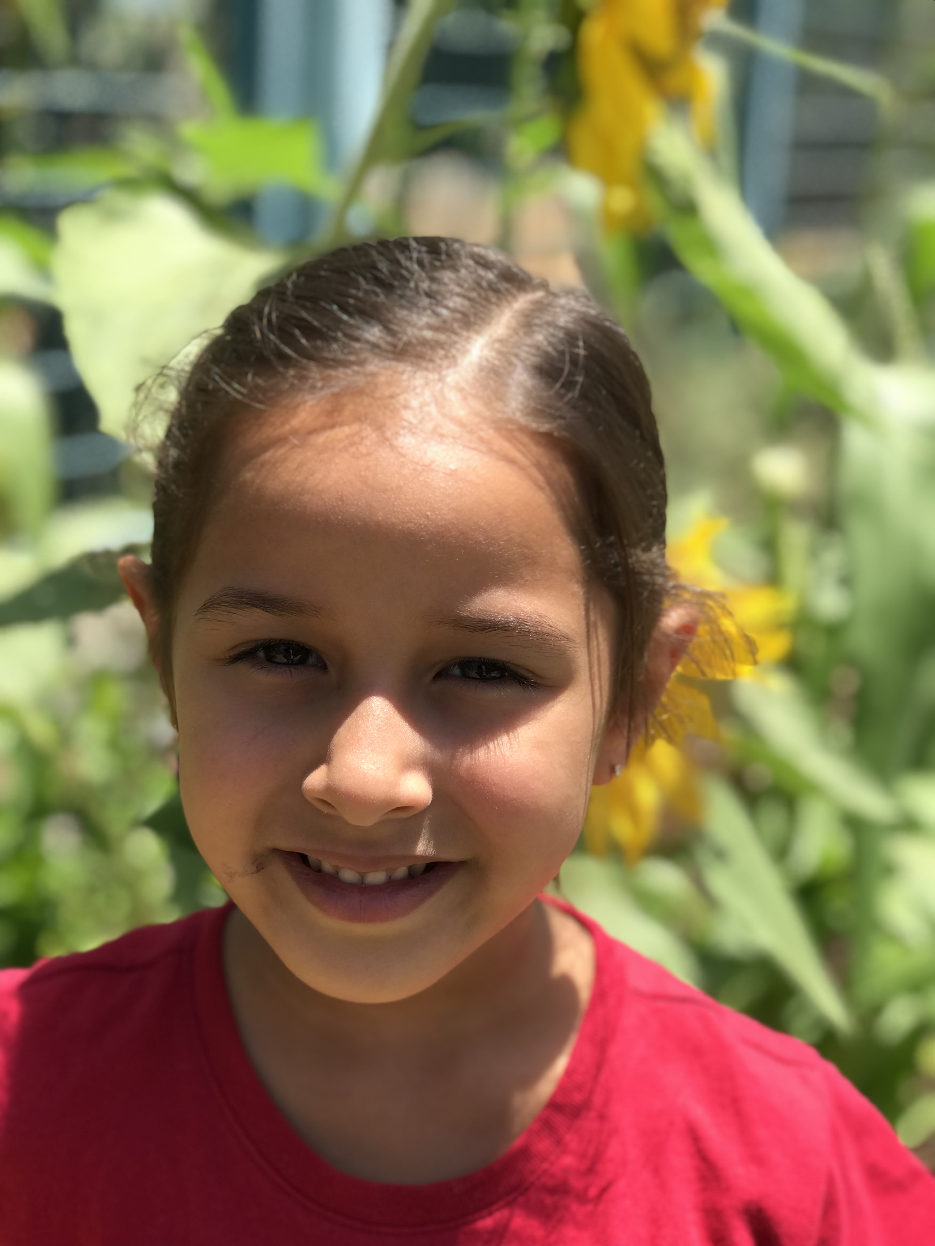 أطفال بستان الزيتون 2022 by nadia - Ourboox.com