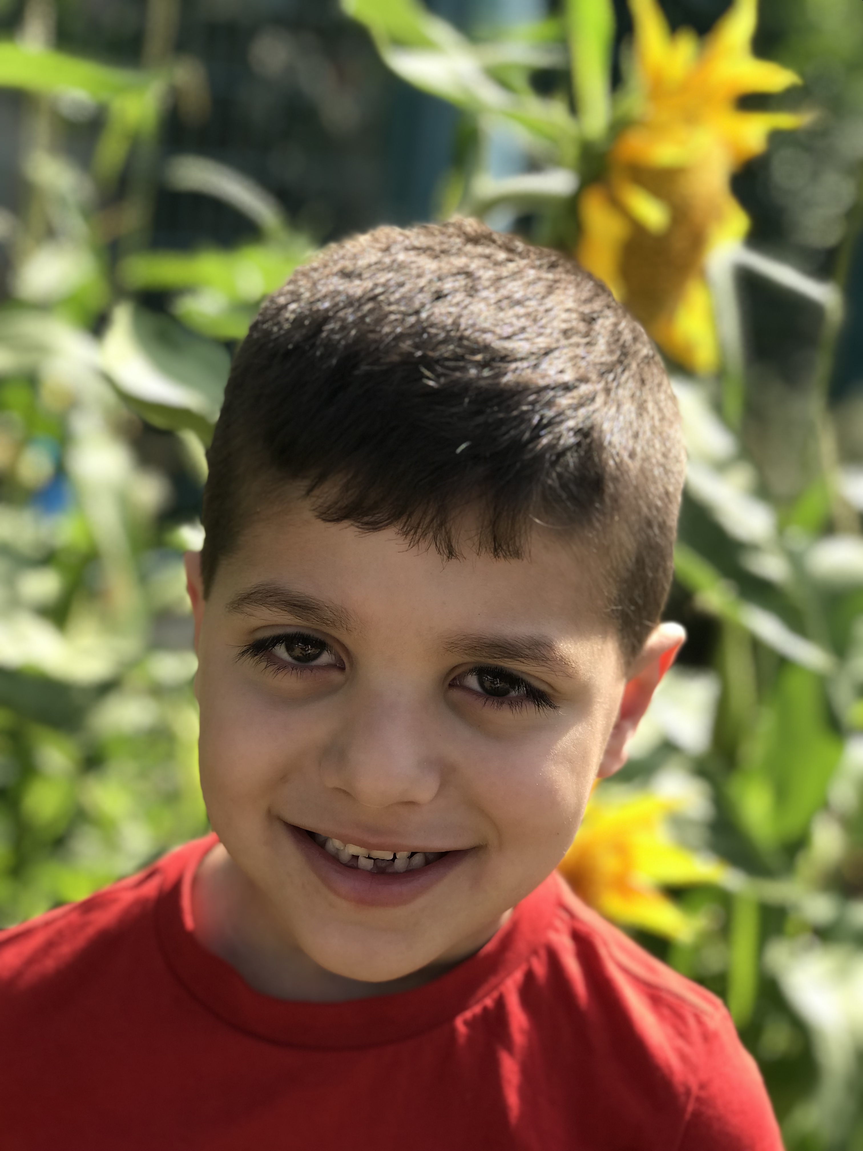 أطفال بستان الزيتون 2022 by nadia - Ourboox.com