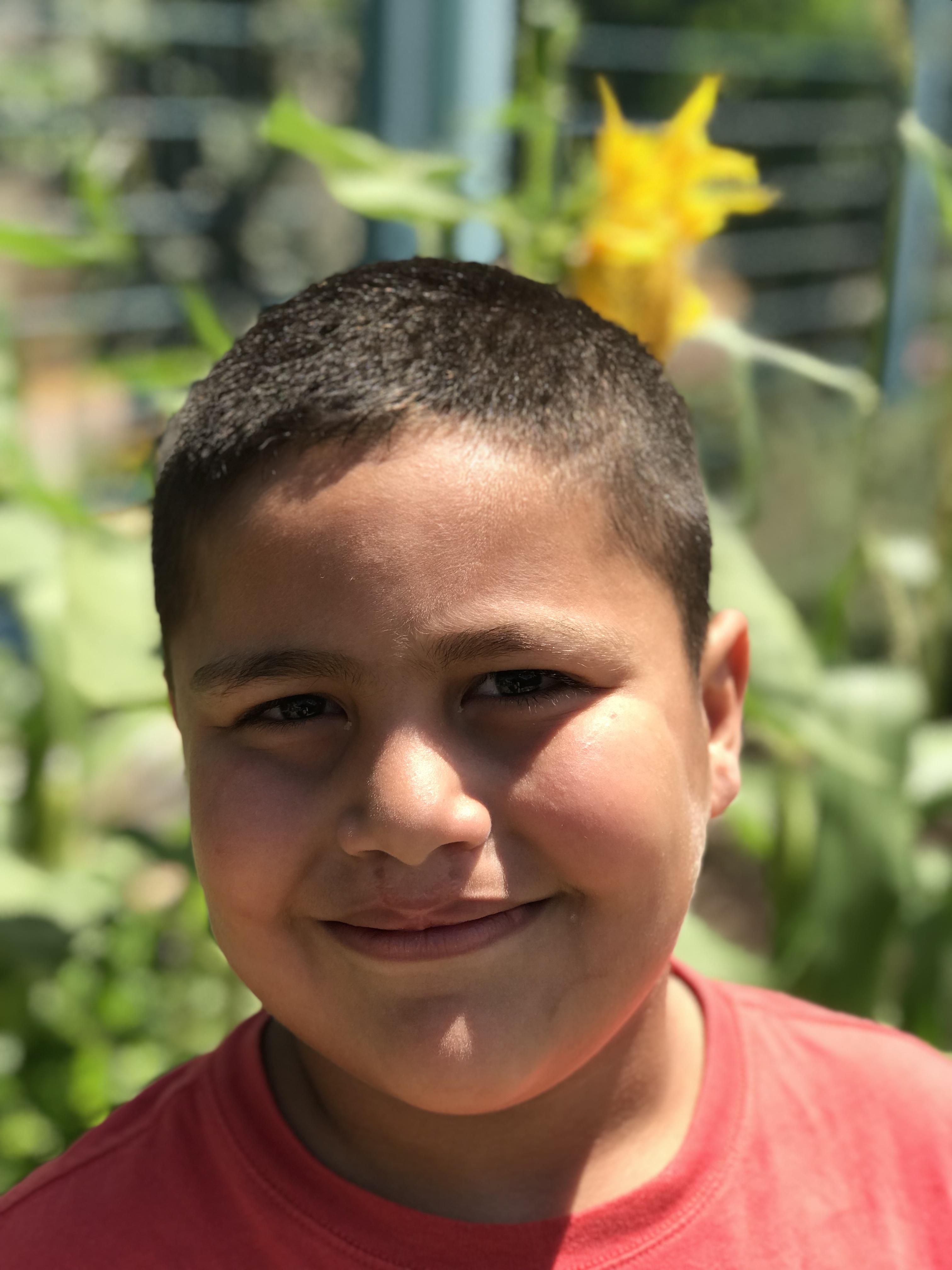 أطفال بستان الزيتون 2022 by nadia - Ourboox.com