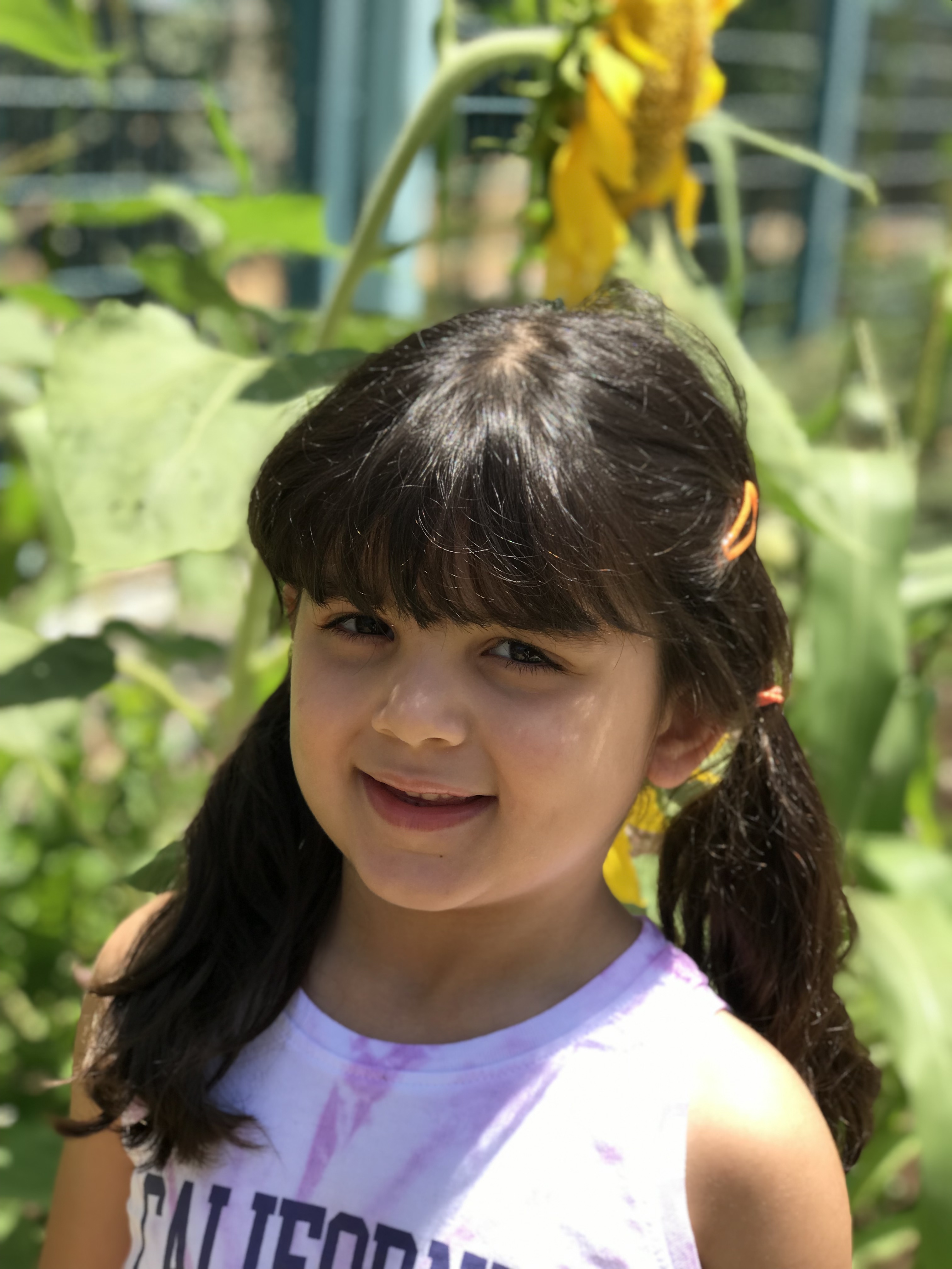 أطفال بستان الزيتون 2022 by nadia - Ourboox.com