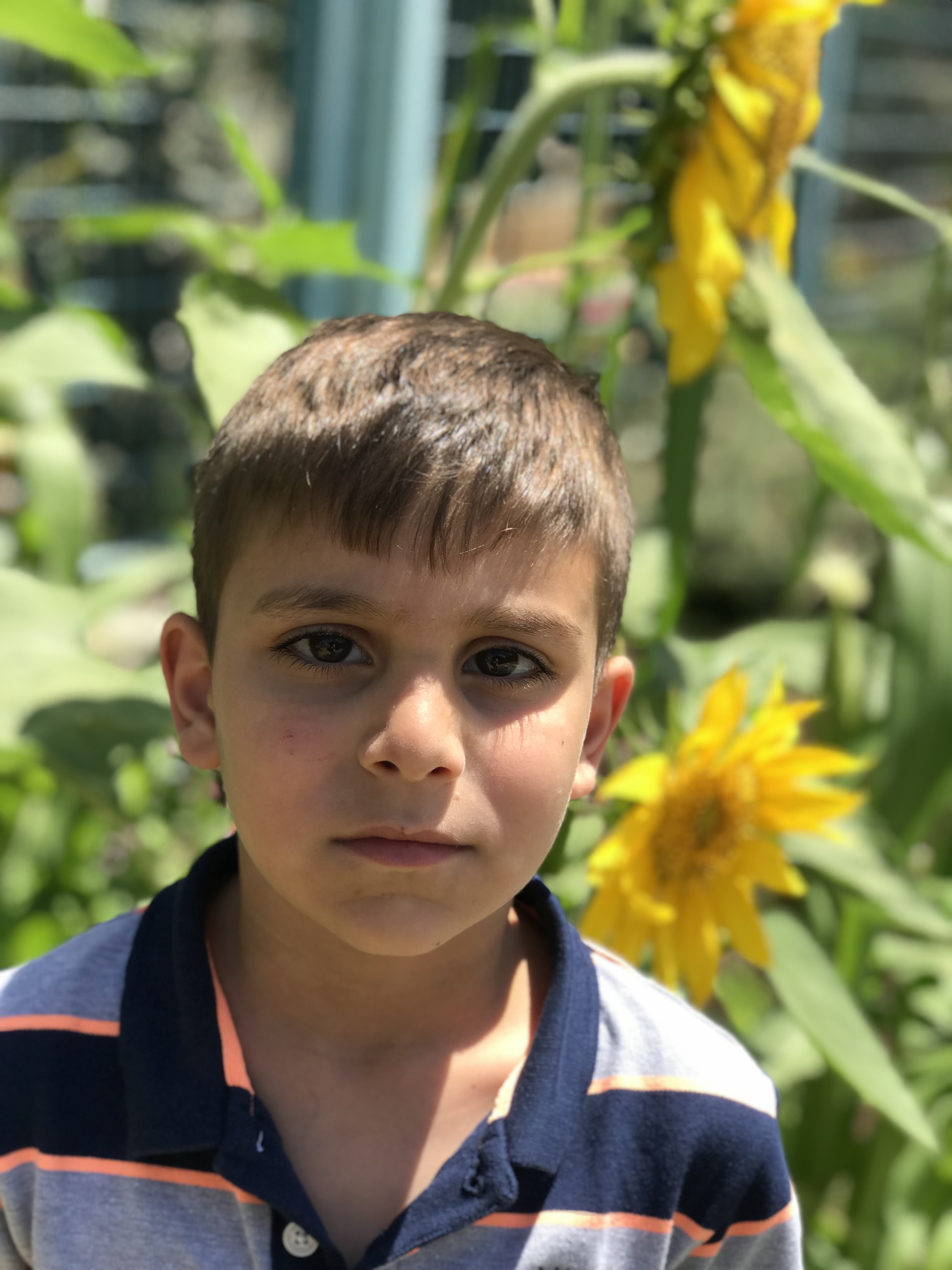 أطفال بستان الزيتون 2022 by nadia - Ourboox.com