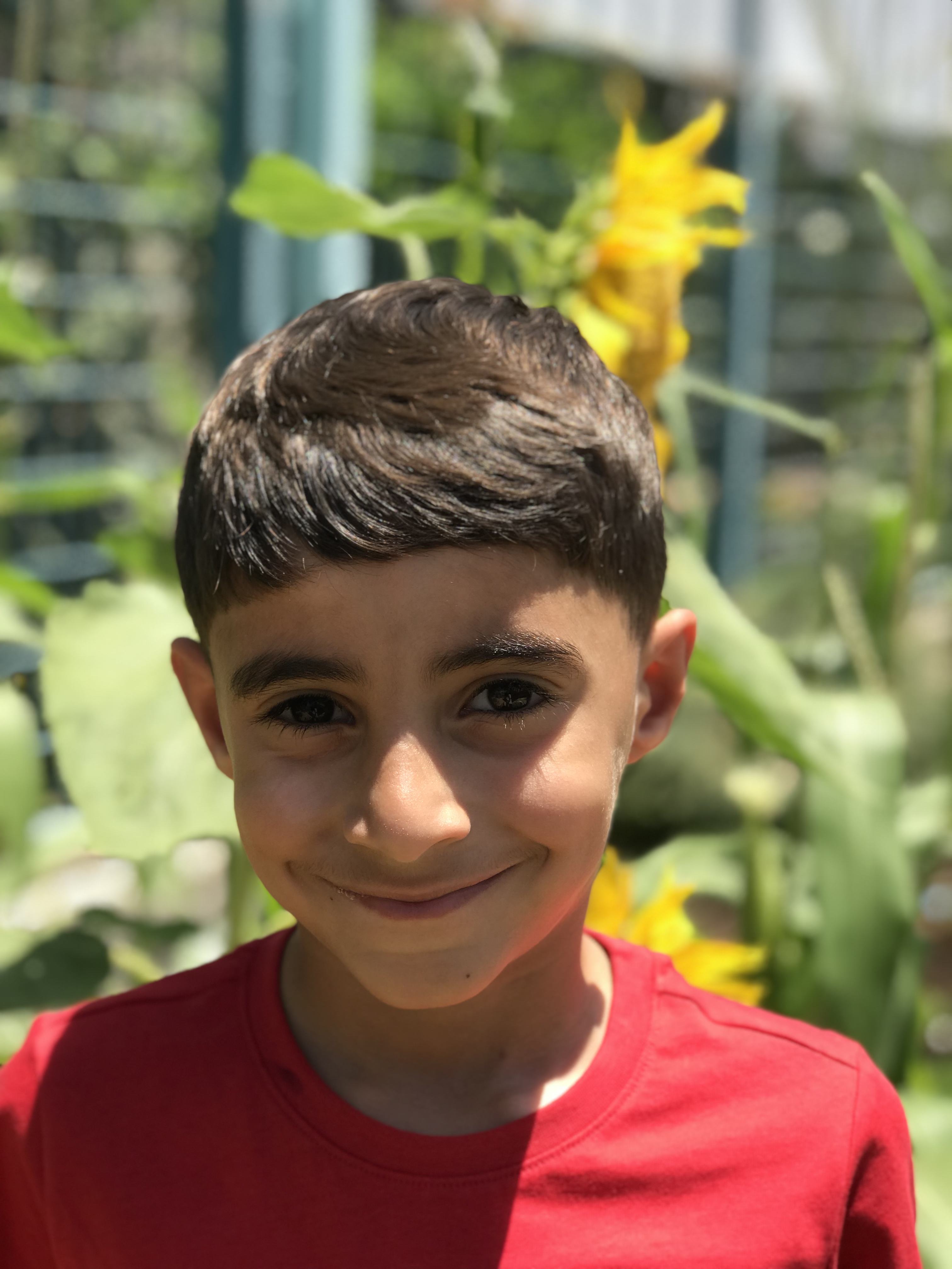 أطفال بستان الزيتون 2022 by nadia - Ourboox.com