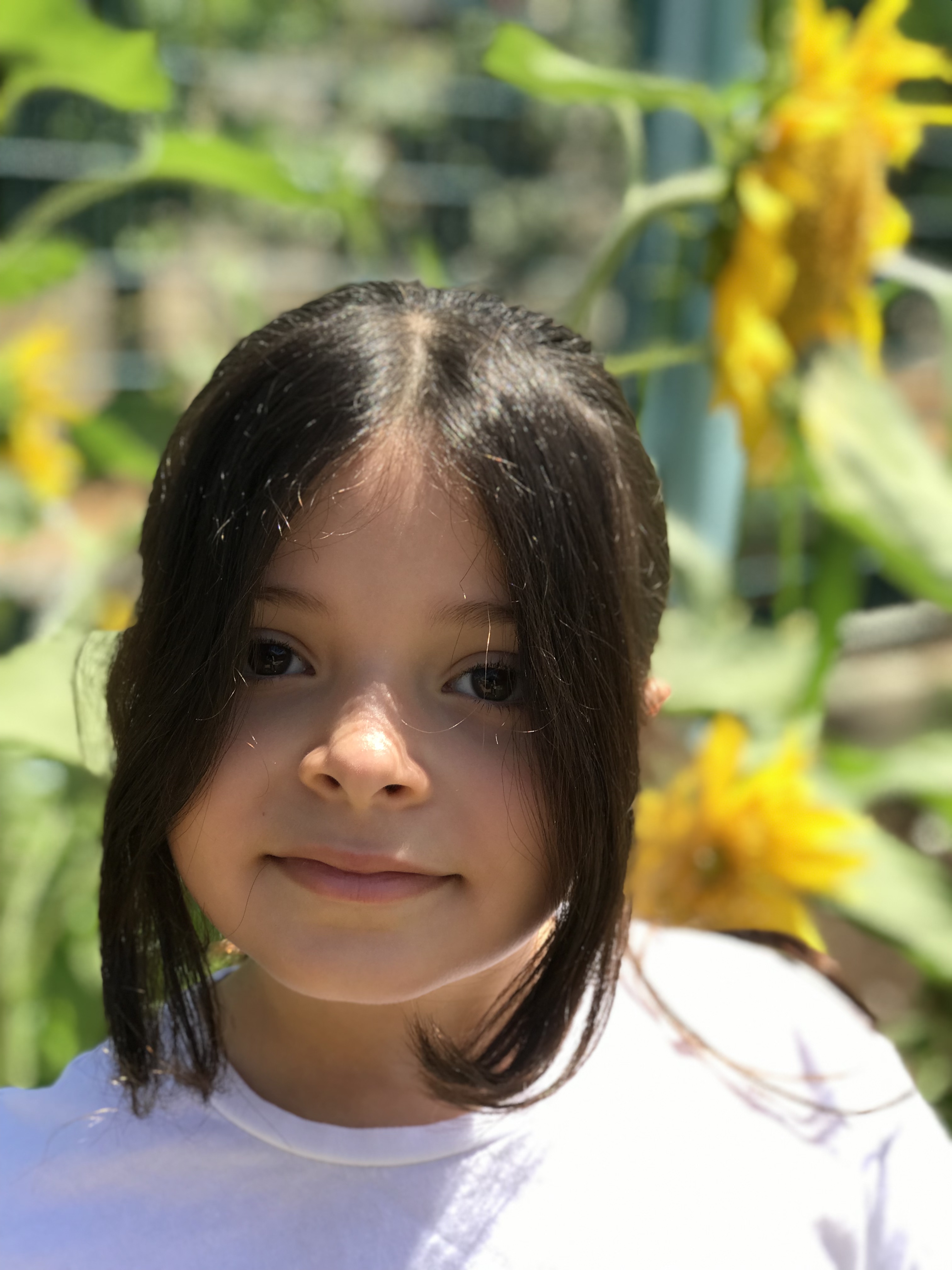 أطفال بستان الزيتون 2022 by nadia - Ourboox.com