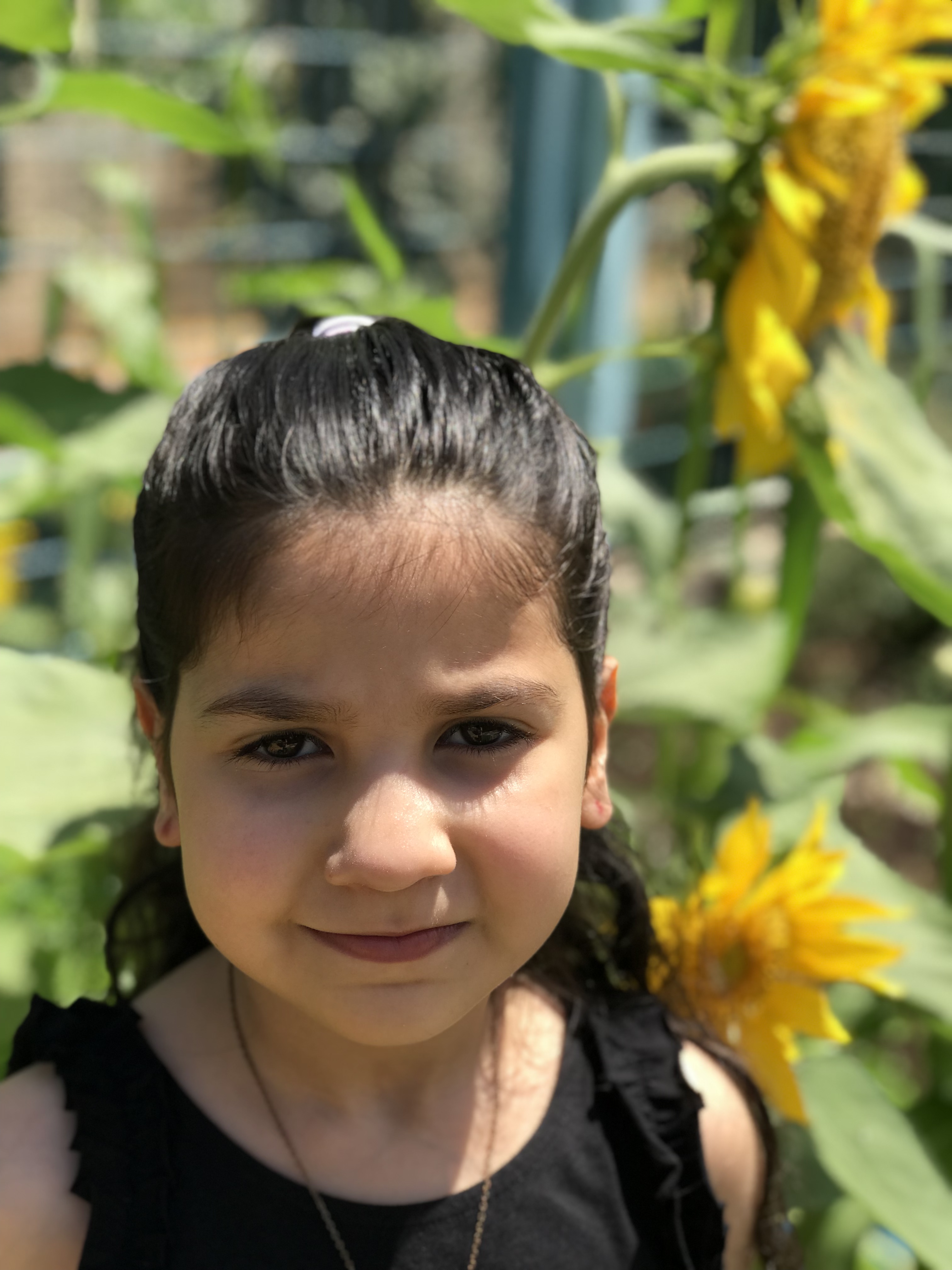 أطفال بستان الزيتون 2022 by nadia - Ourboox.com