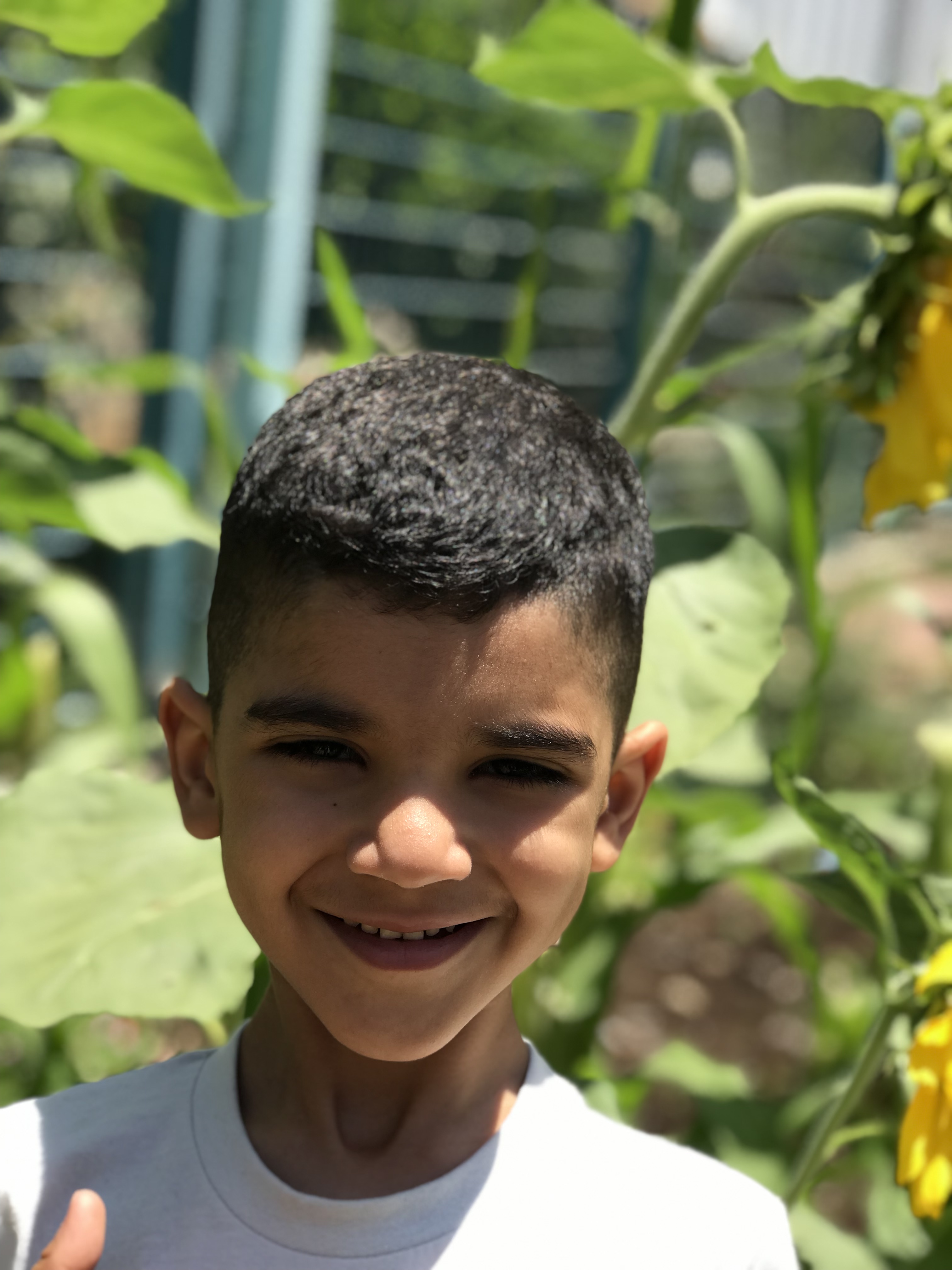 أطفال بستان الزيتون 2022 by nadia - Ourboox.com