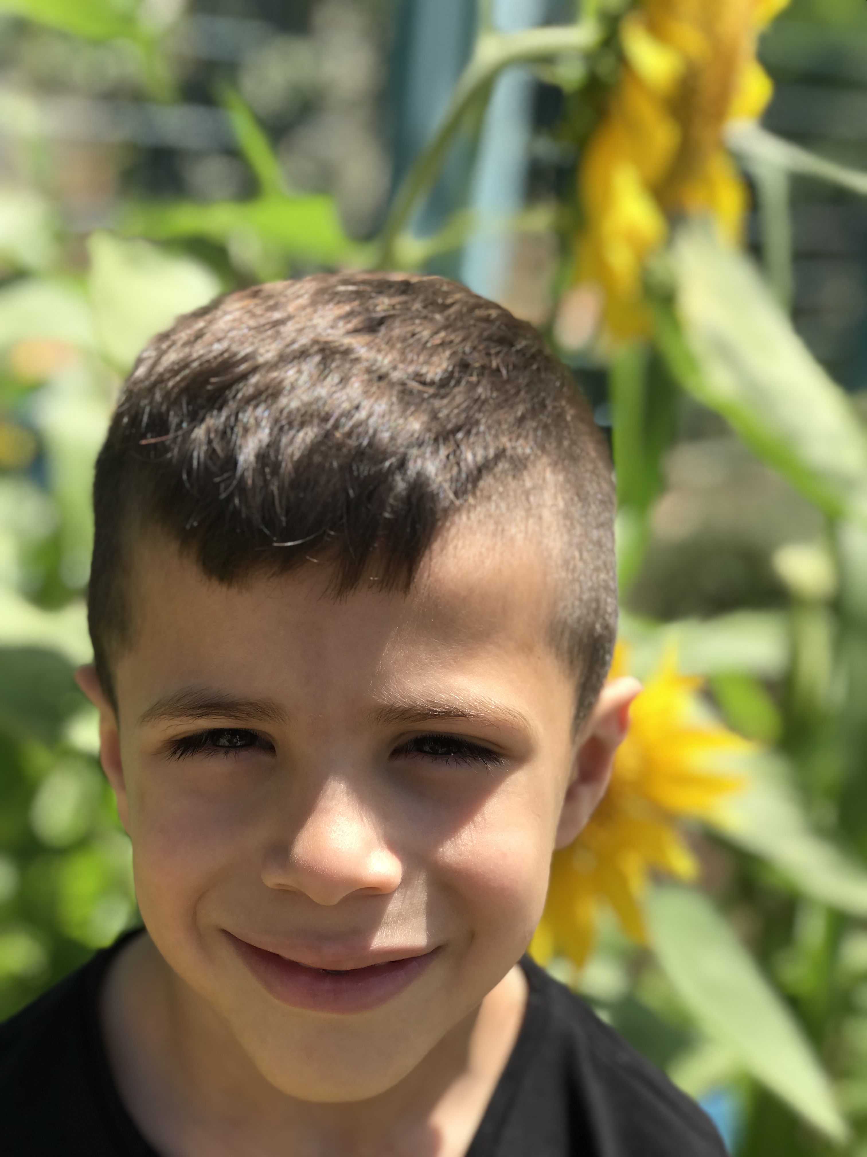 أطفال بستان الزيتون 2022 by nadia - Ourboox.com