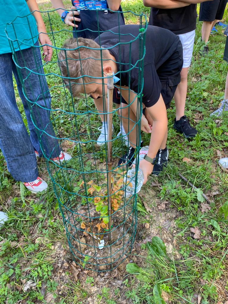 Gli alunni di classe V a stretto contatto con la natura! by Piera Lazzarotto - Ourboox.com