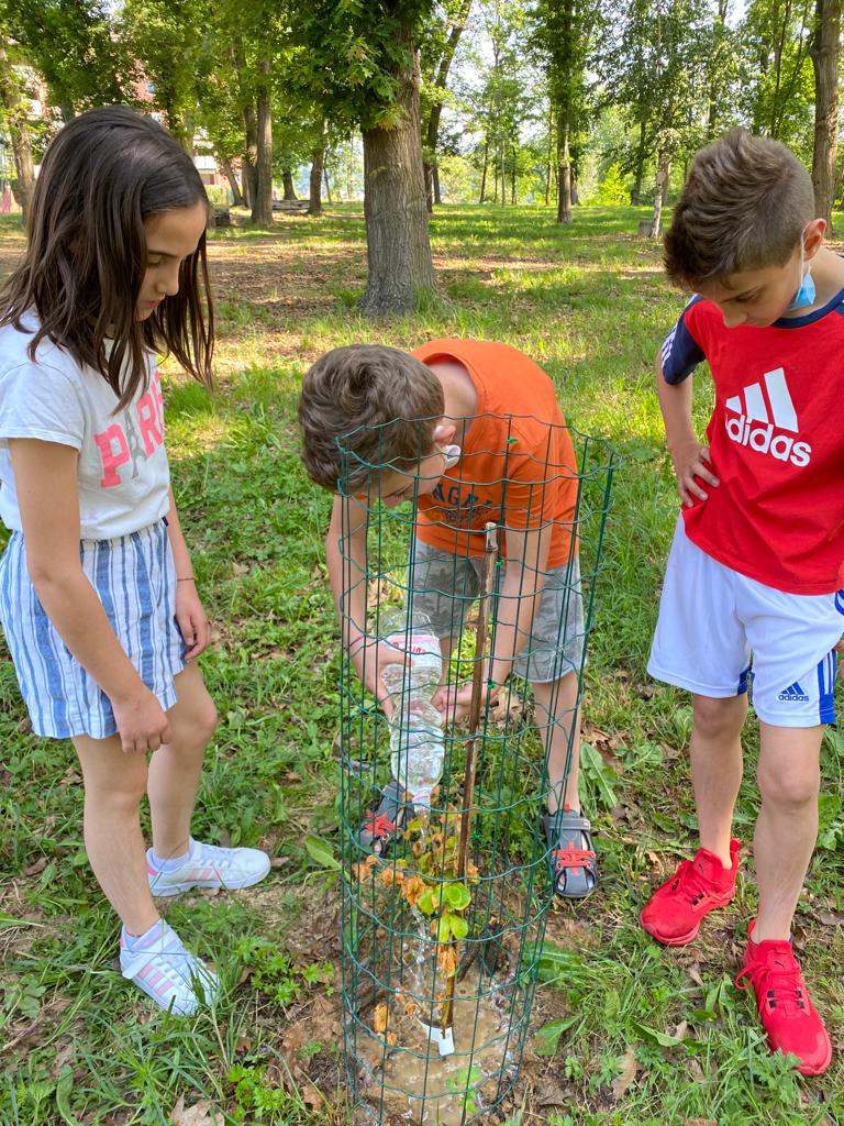 Gli alunni di classe V a stretto contatto con la natura! by Piera Lazzarotto - Ourboox.com
